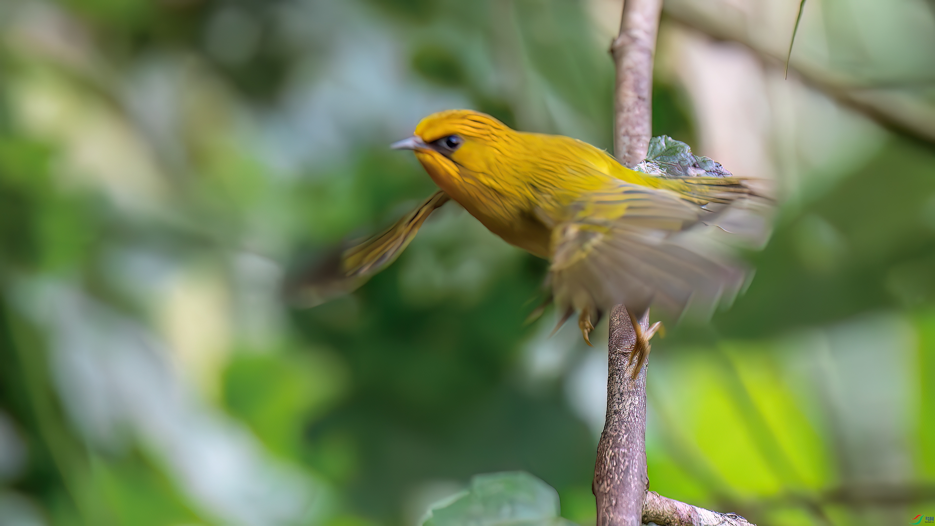 DSC_3948.jpg