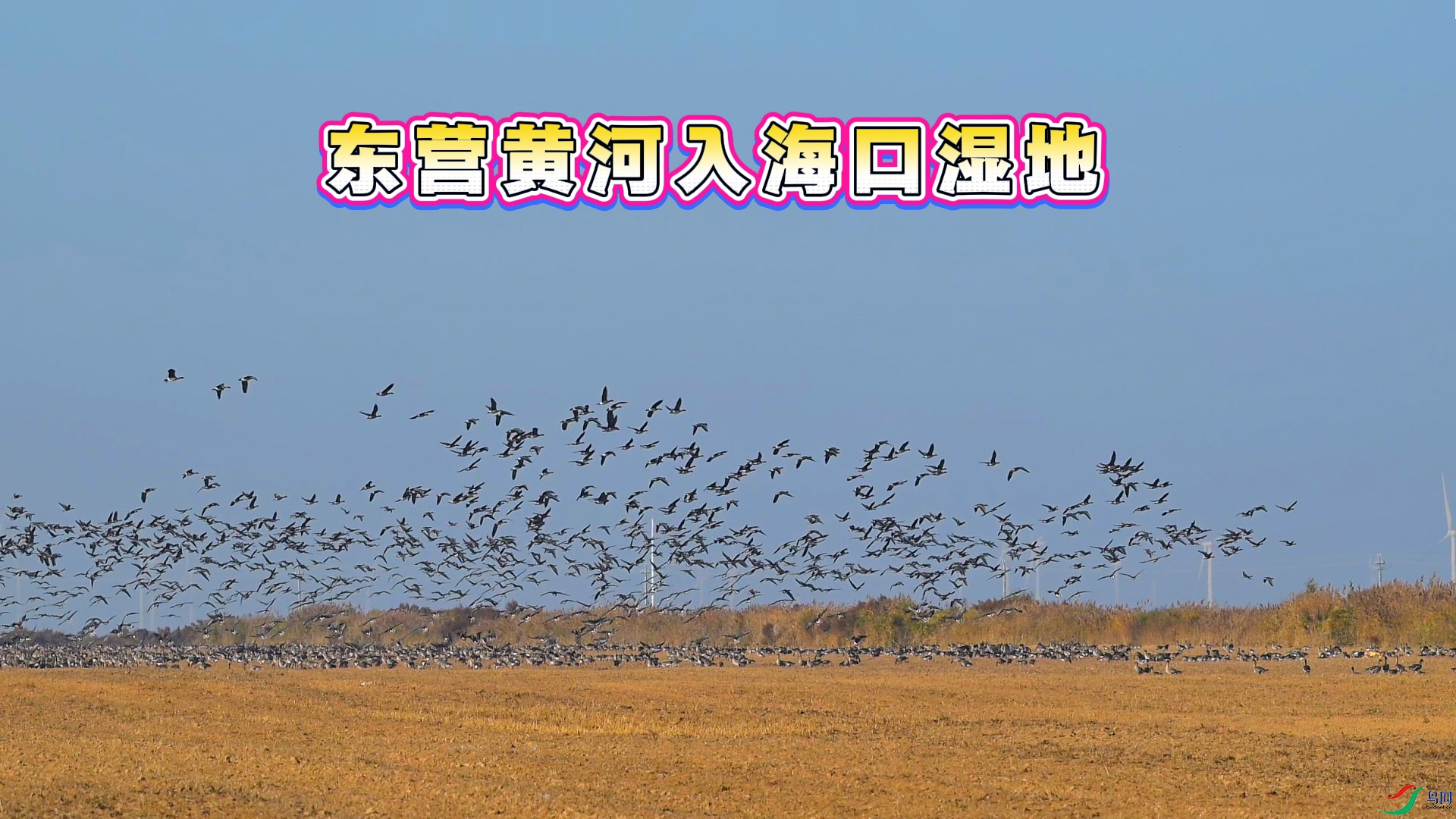 8��18��(2) ����.jpg