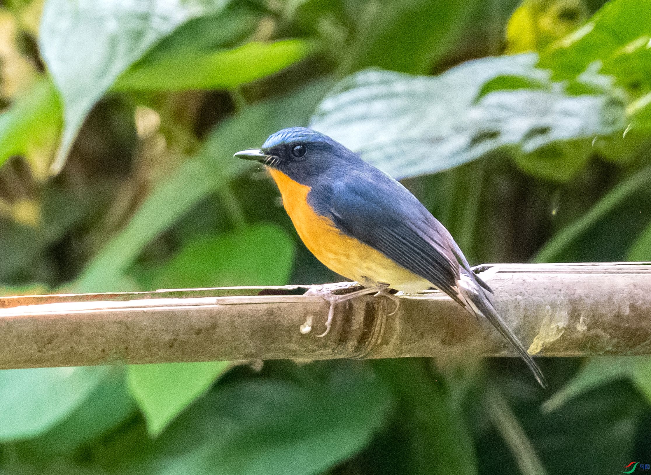 DSC_5234_����.jpg
