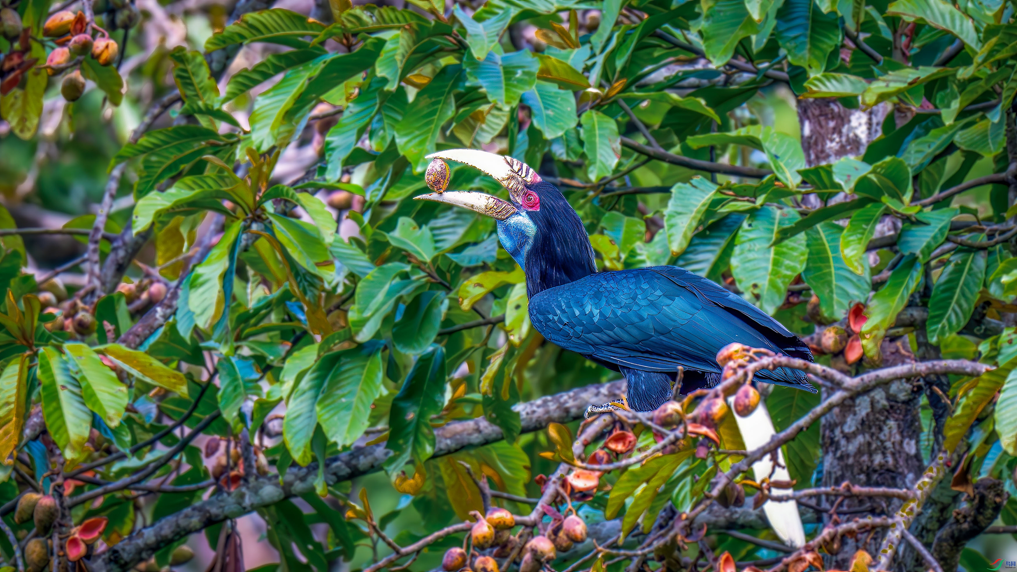 DSC_9295.jpg