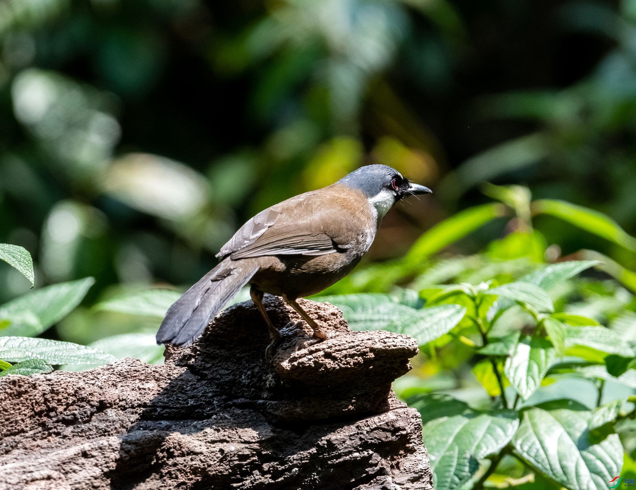 DSC_5487_����.jpg