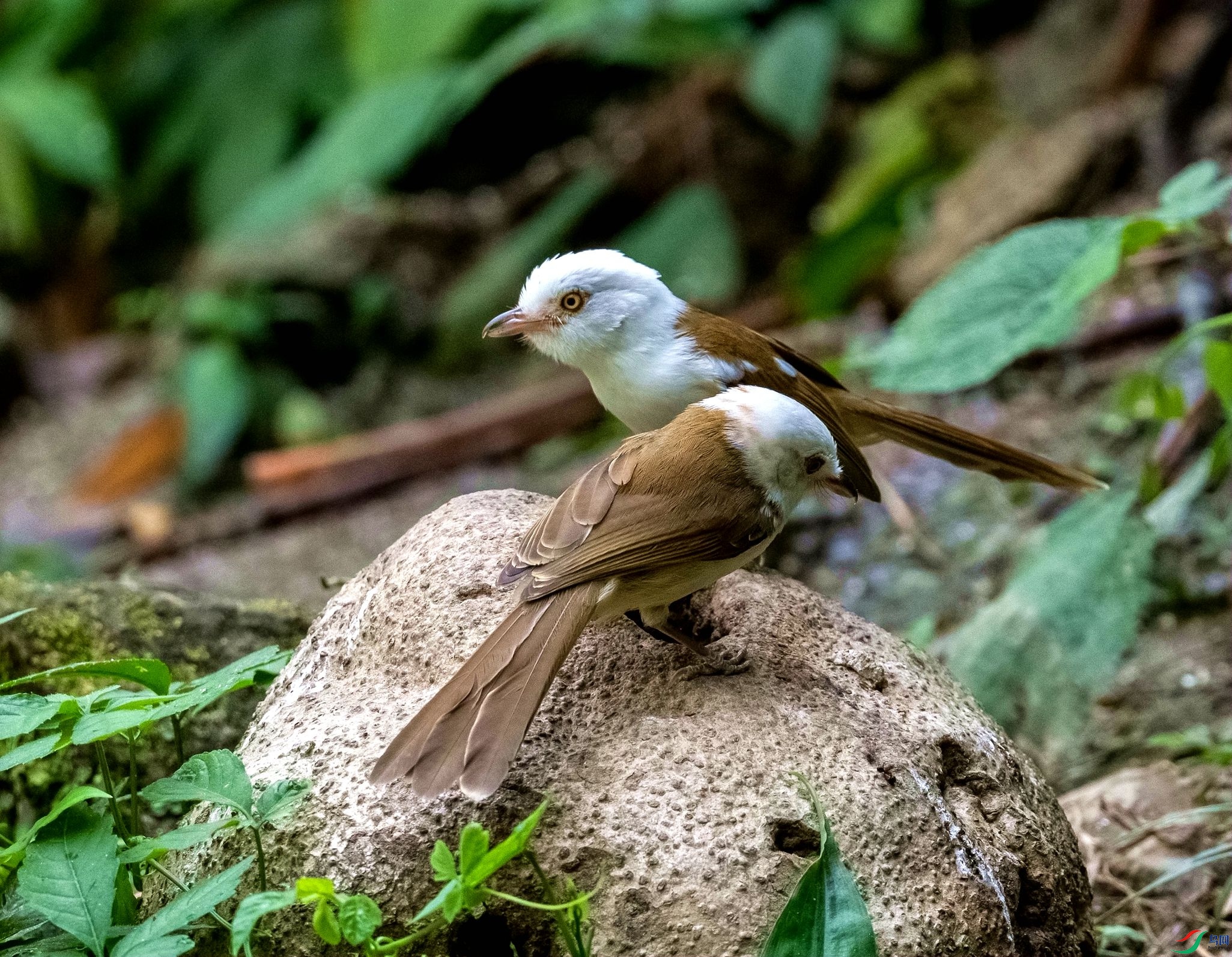 DSC_5716_����.jpg