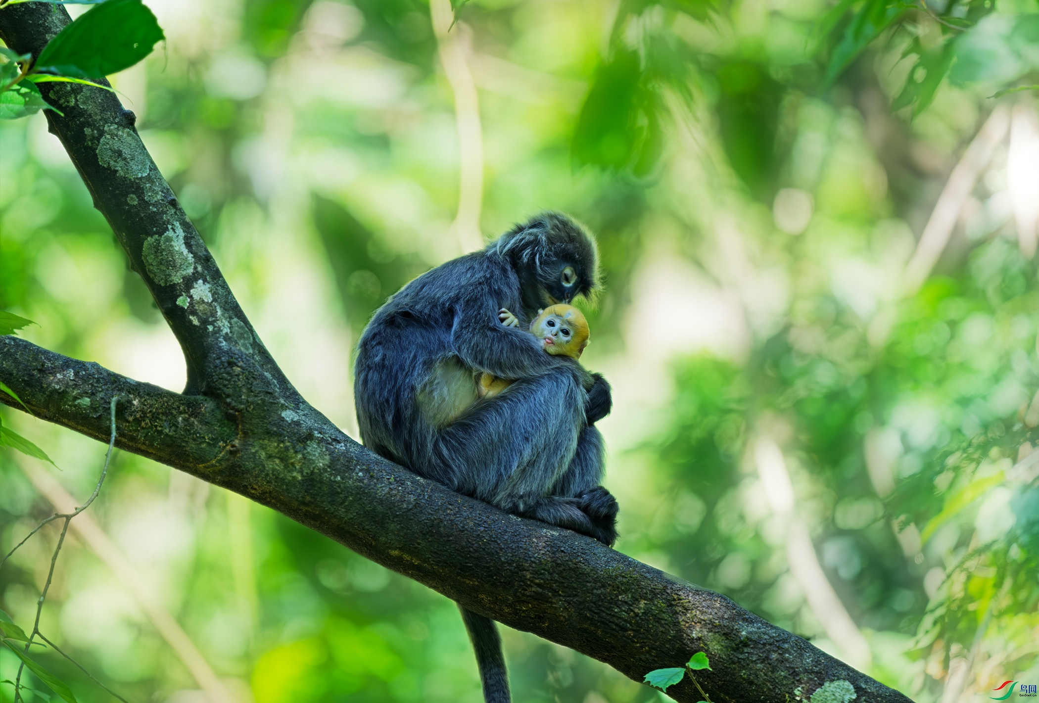 DSC_5231-1.jpg