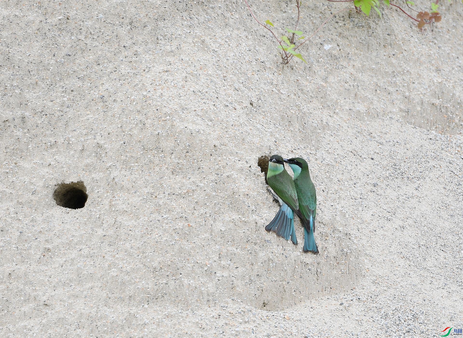 DSC_3316.jpg