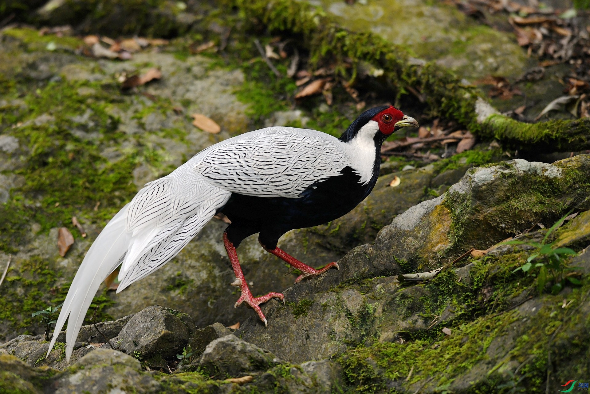 DSC_3538.jpg