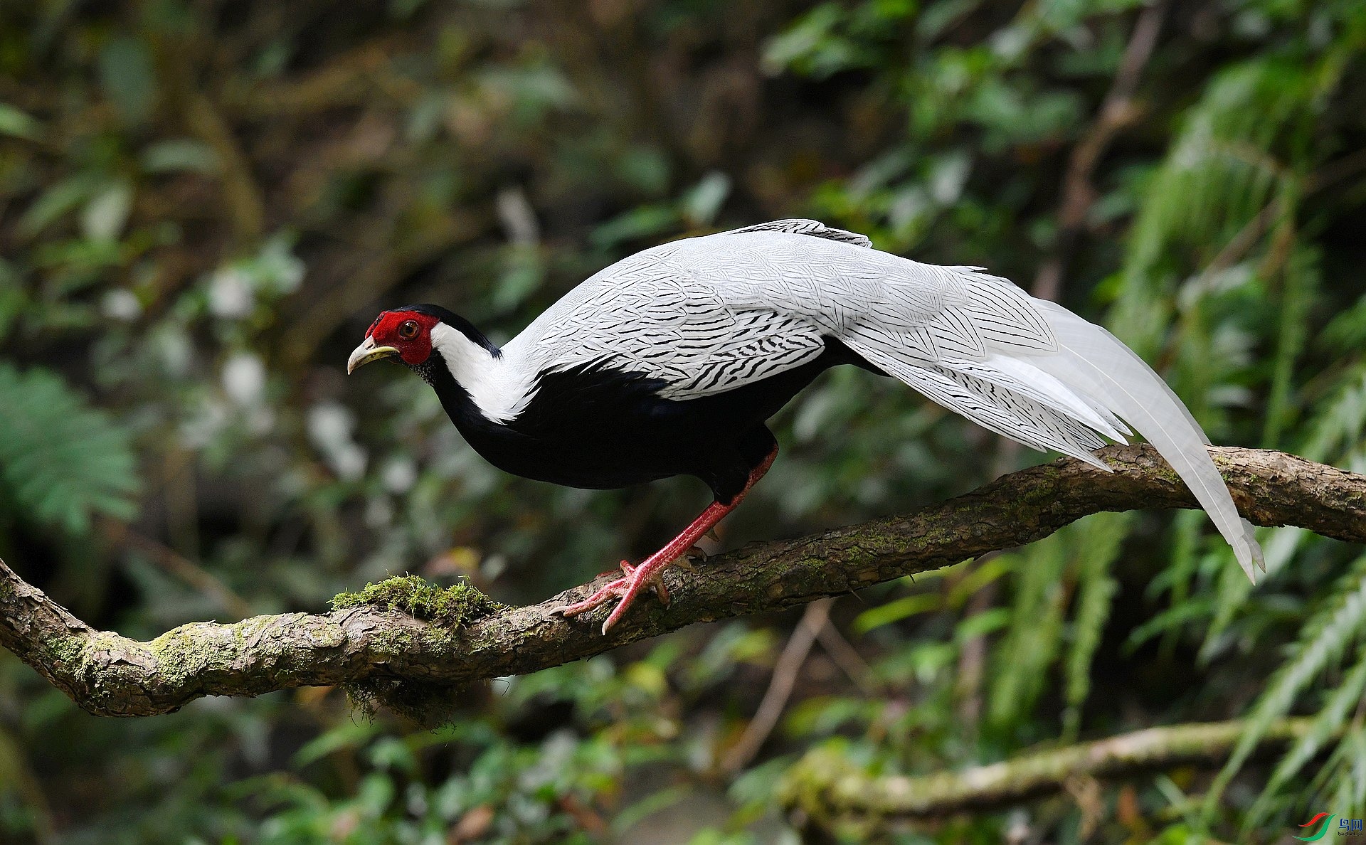DSC_3584.jpg