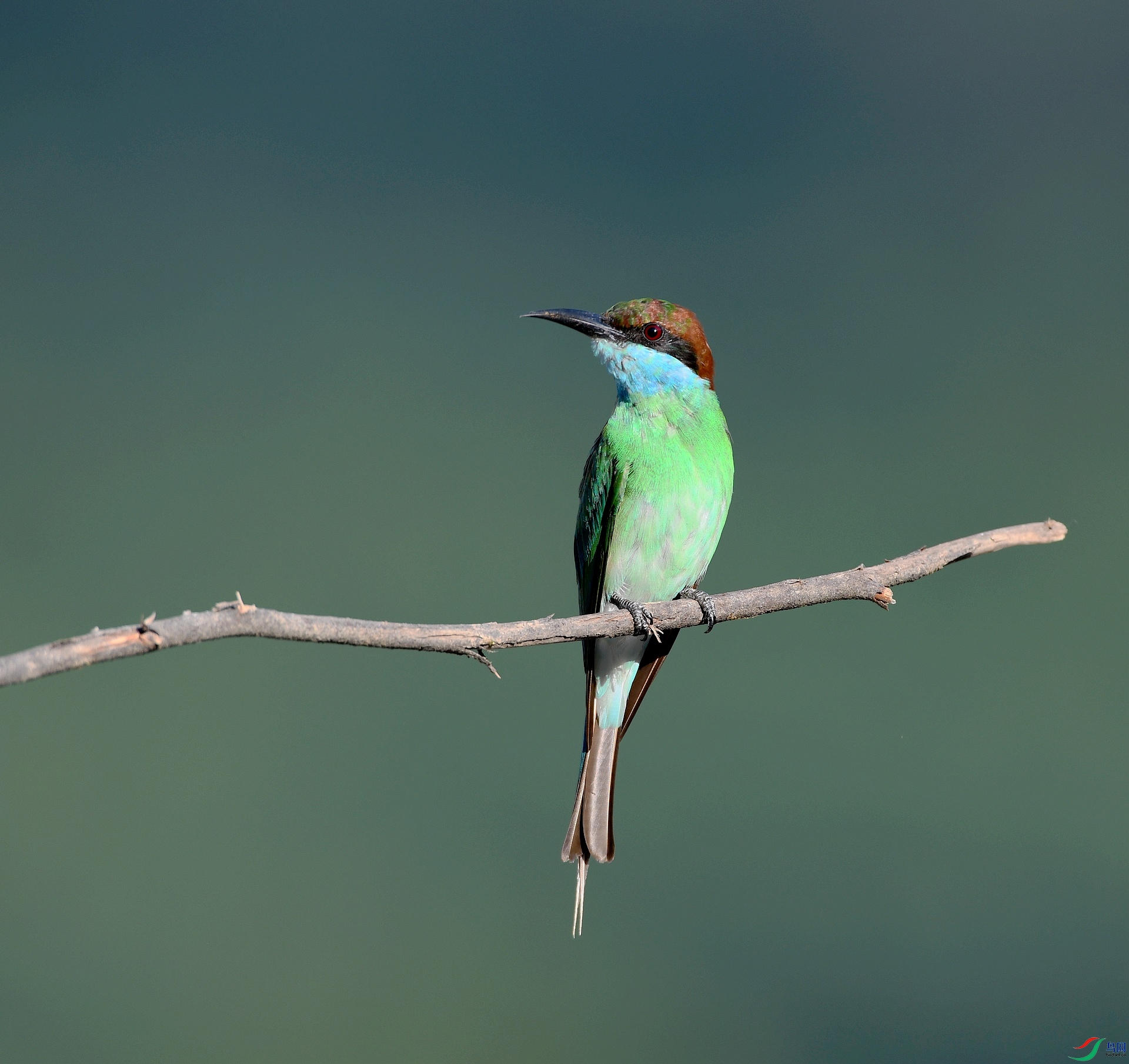 DSC_1969.jpg