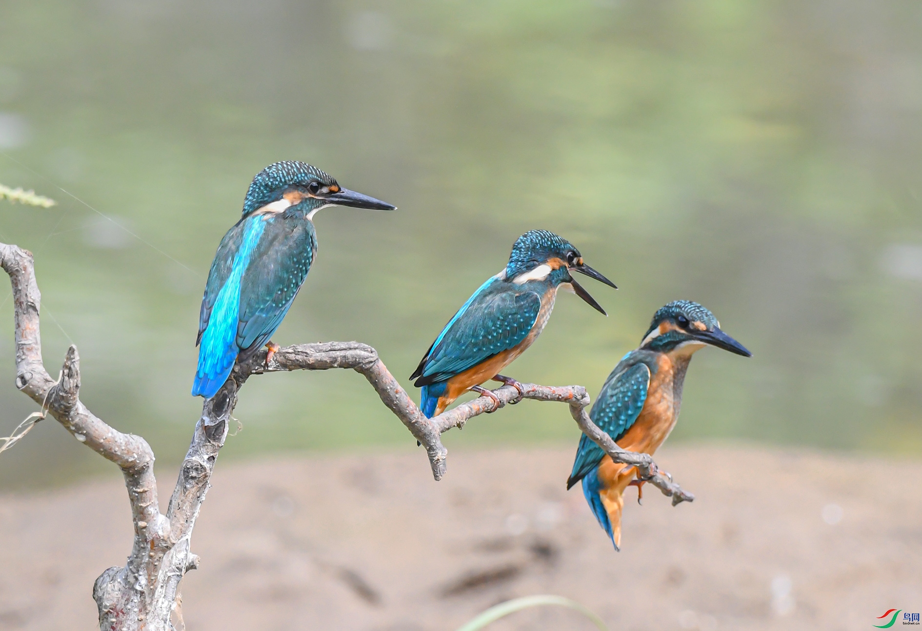 DSC_8776_��ͼ�� ����.jpg