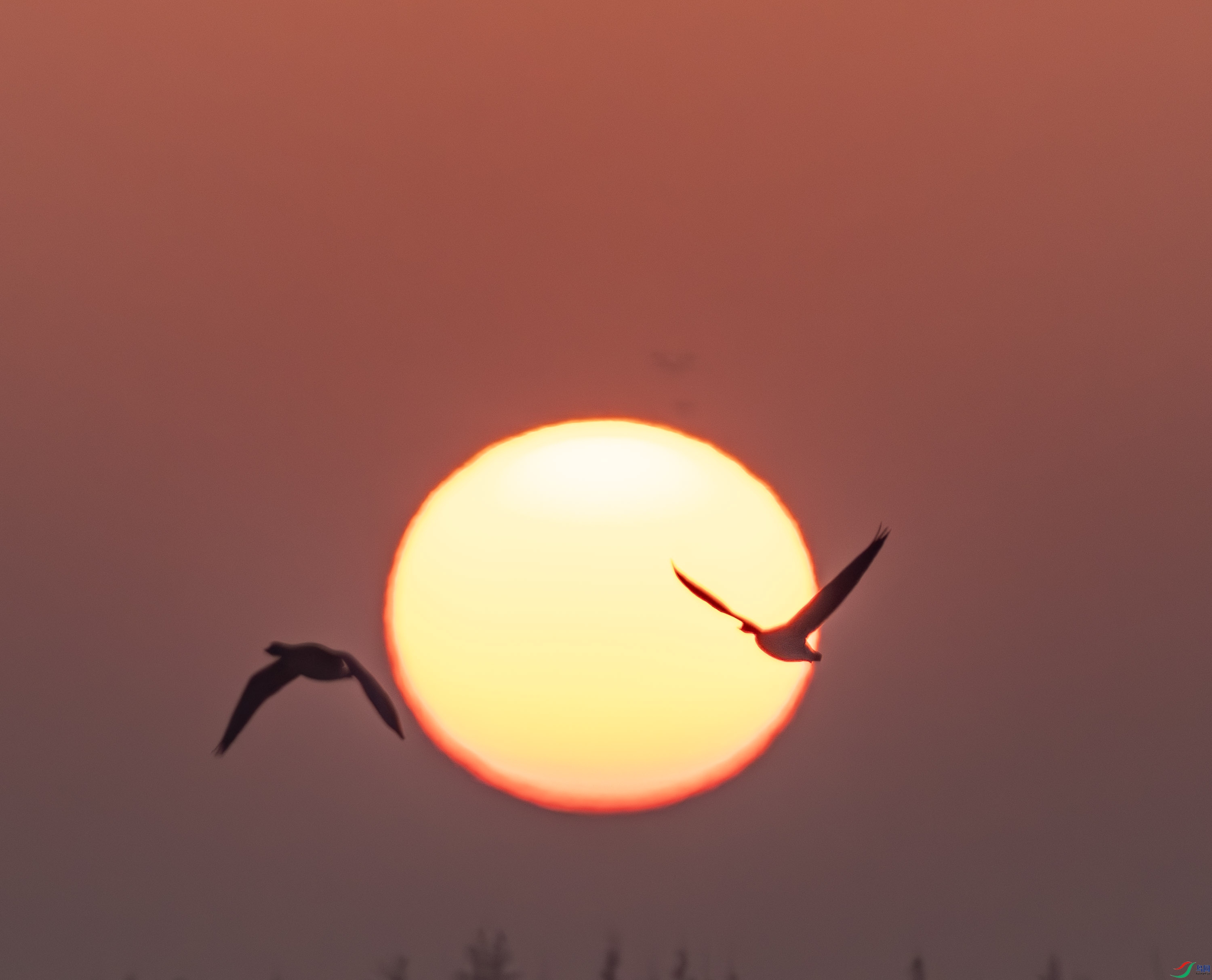 �ճ�-01-23.jpg