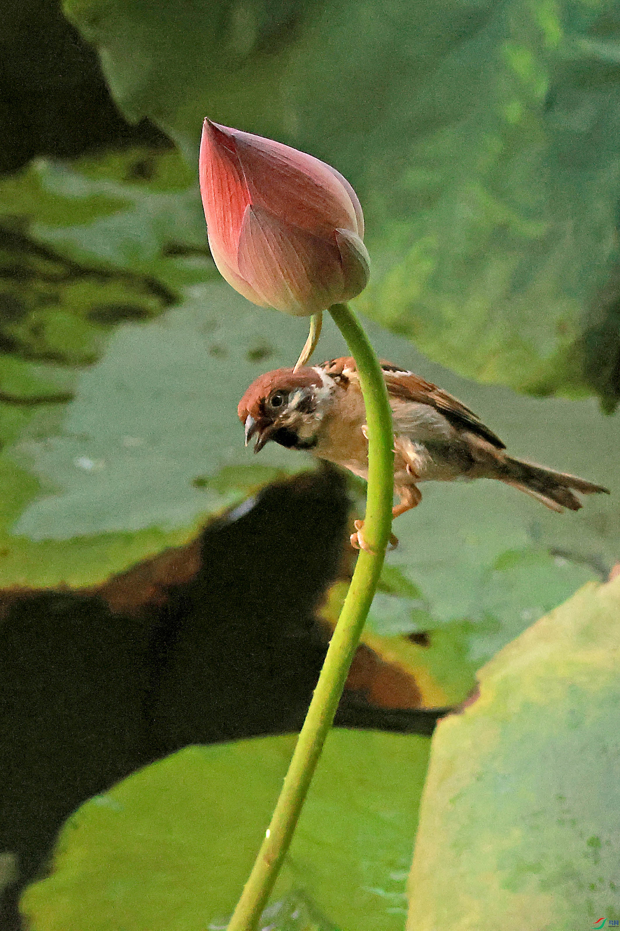 2G9A6534.JPG