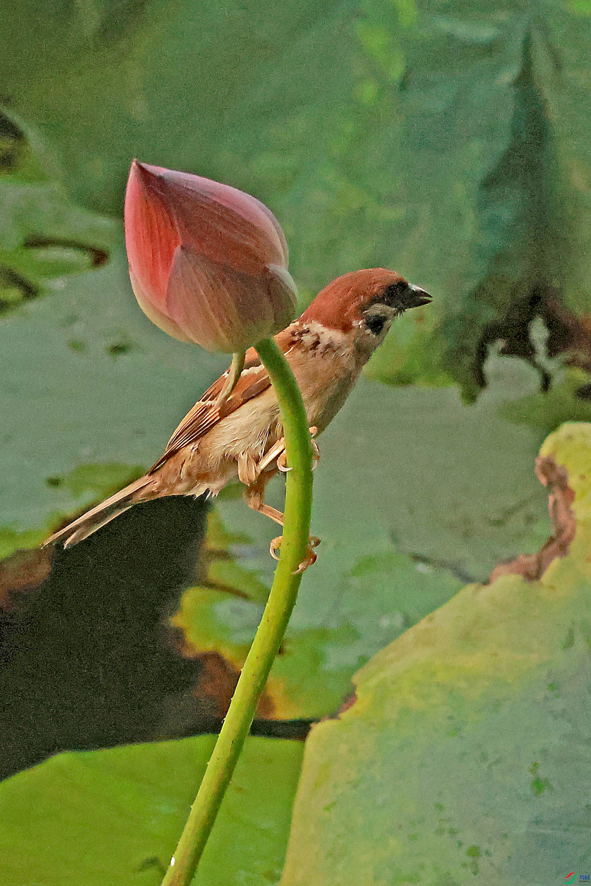 2G9A6537.JPG