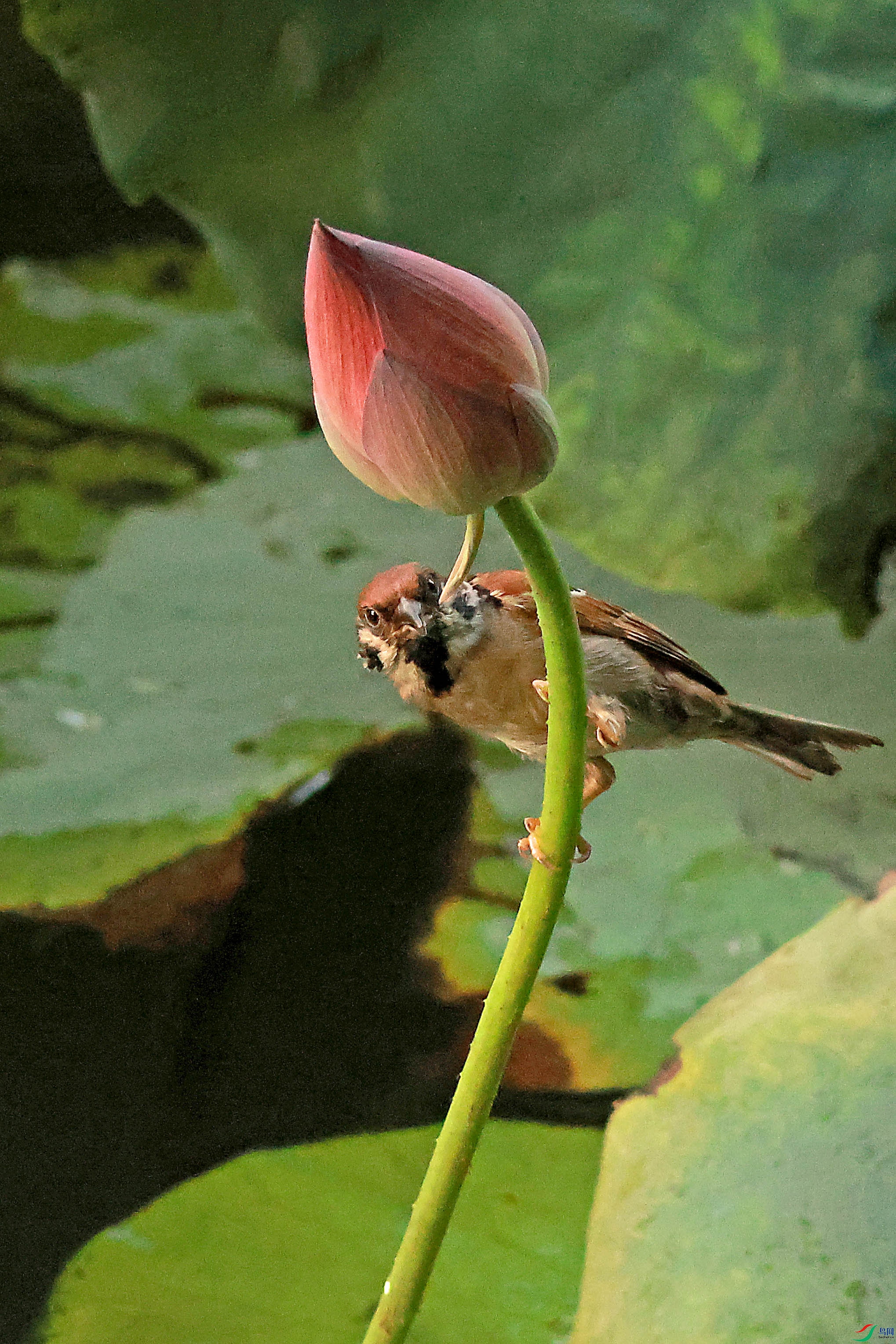 2G9A6536.JPG