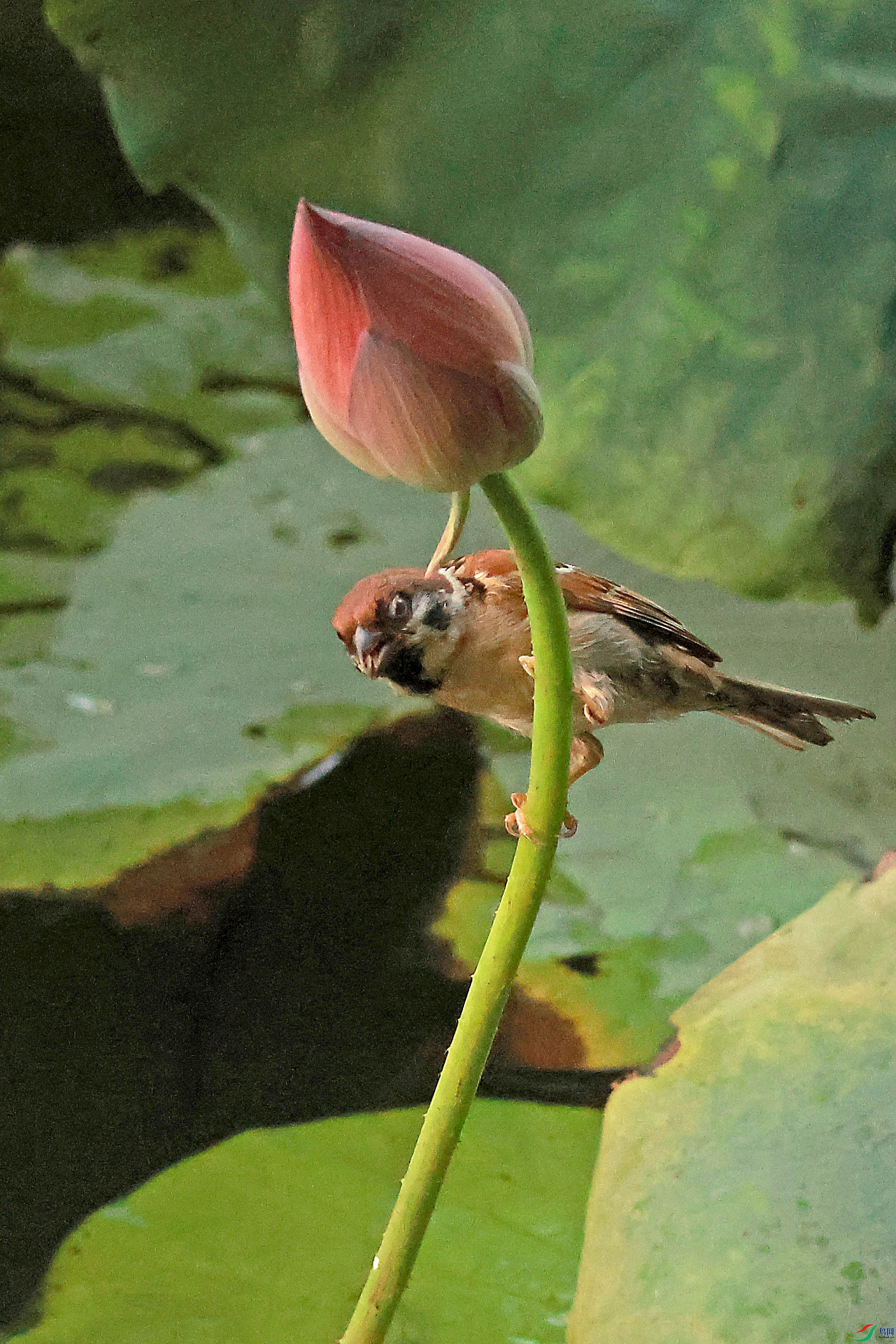 2G9A6535.JPG