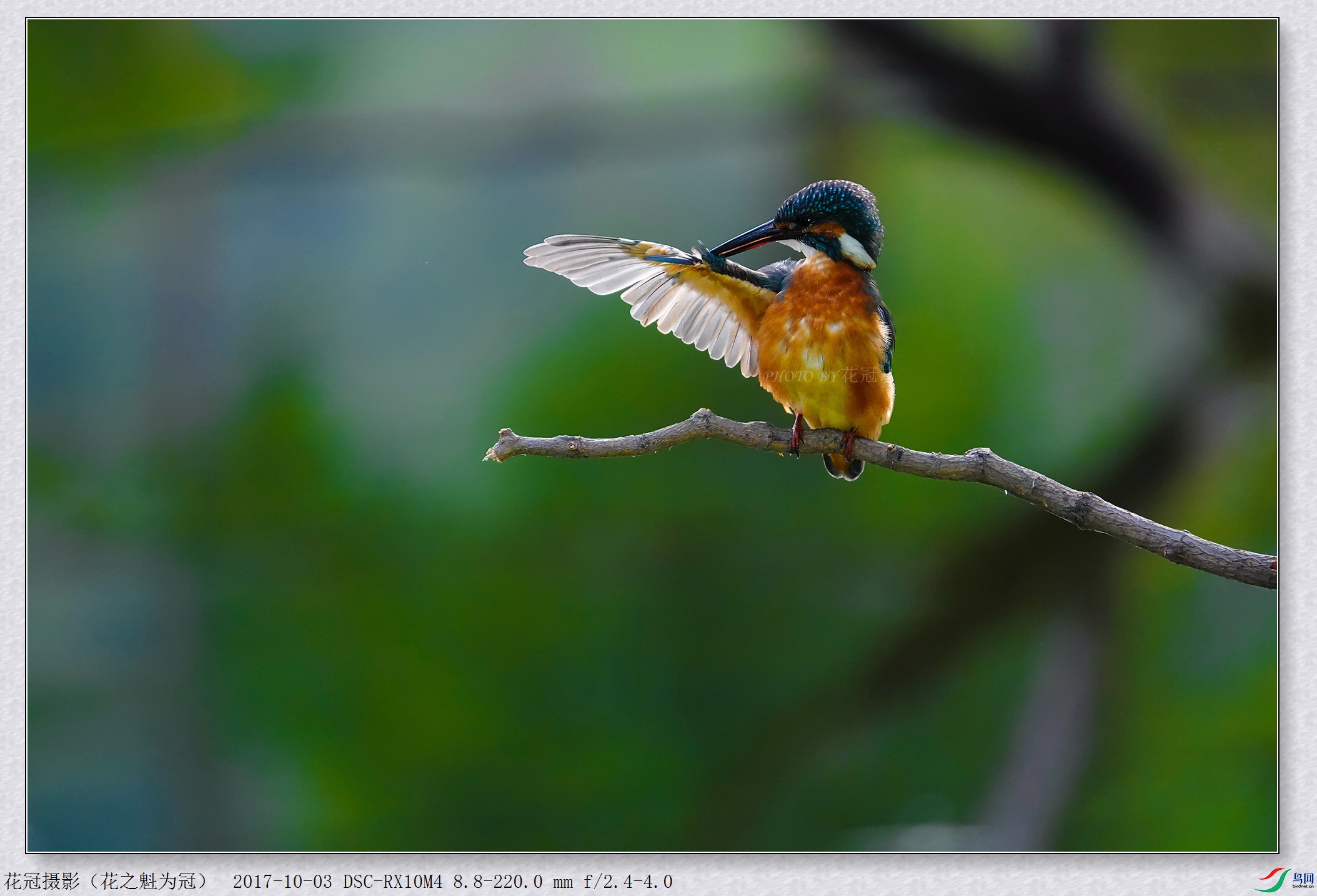 DSC07060B-1_����_����.jpg