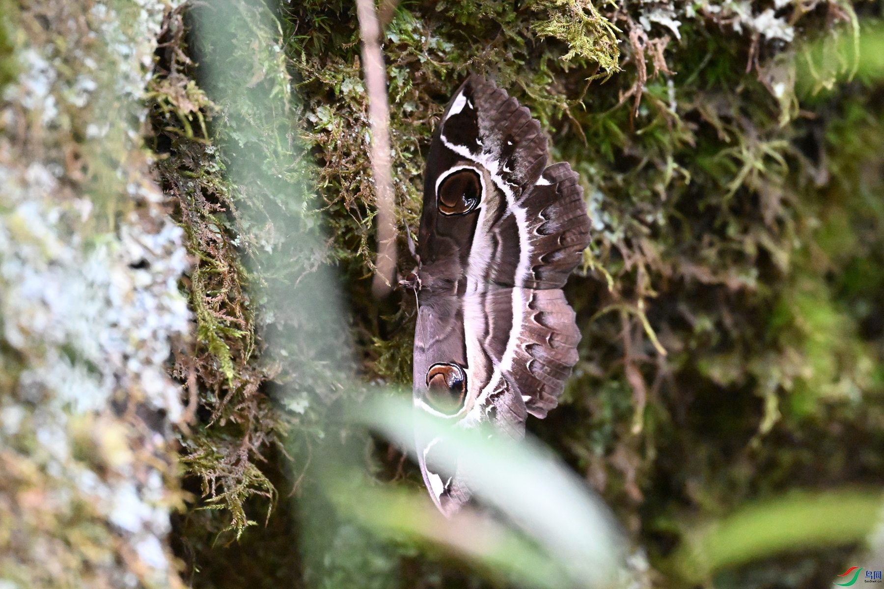 DSC_2483.JPG