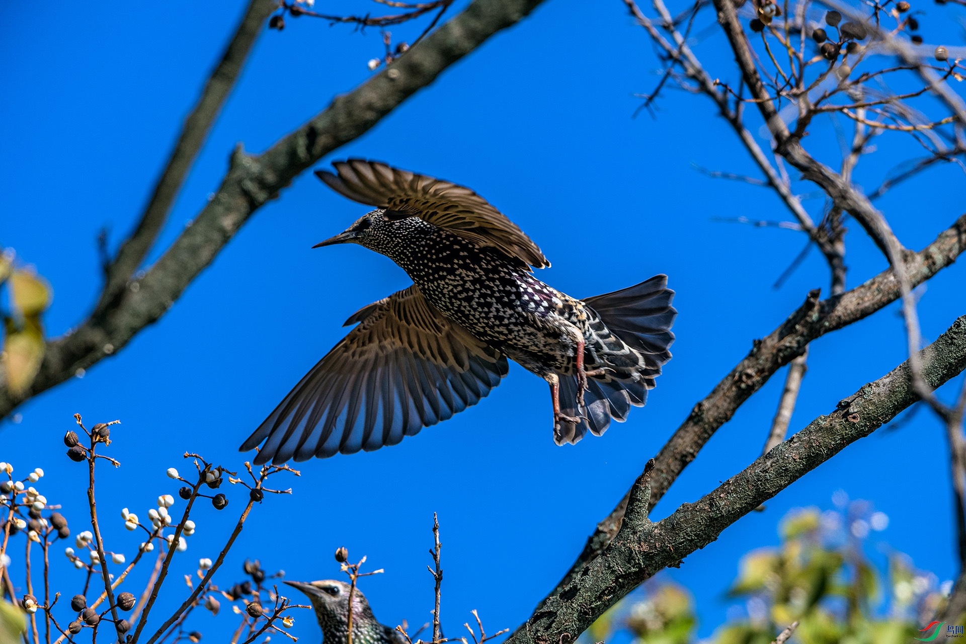 _AUU0840 �ϳ����(25.11.25).jpg