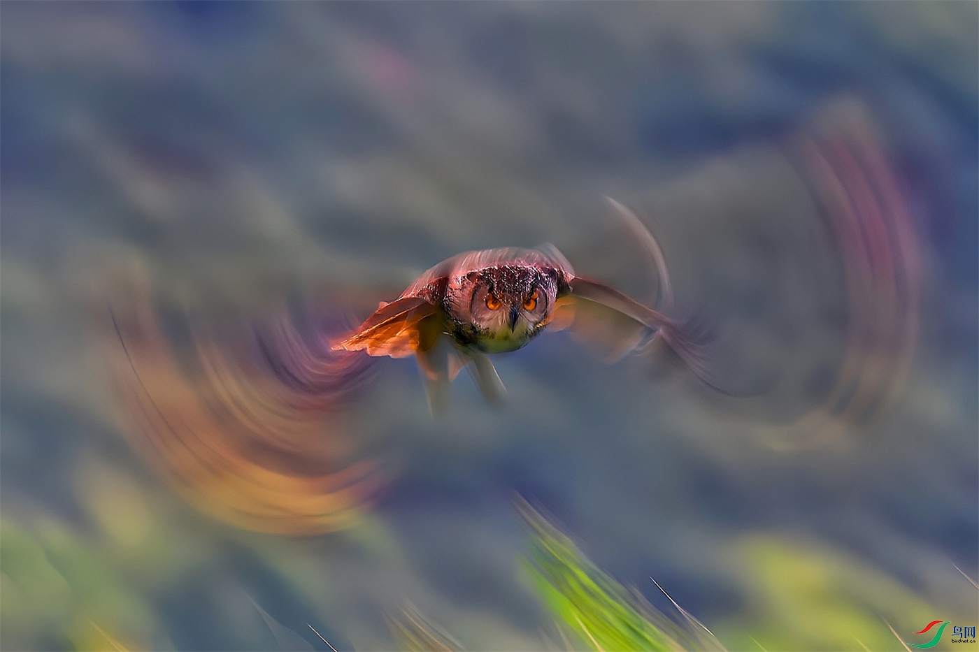 ΢��ͼƬ_20260815214706.jpg