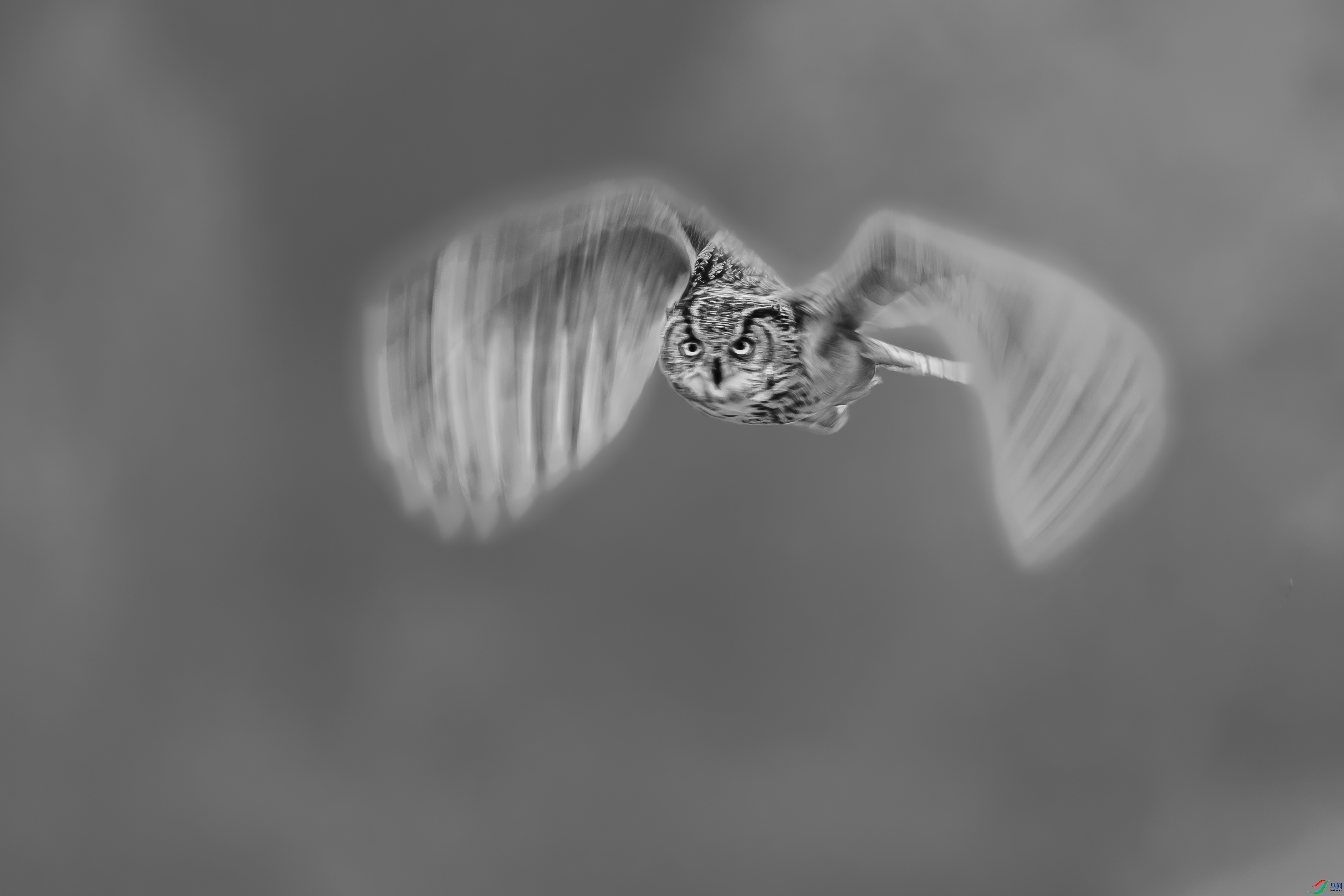 C8692.jpg