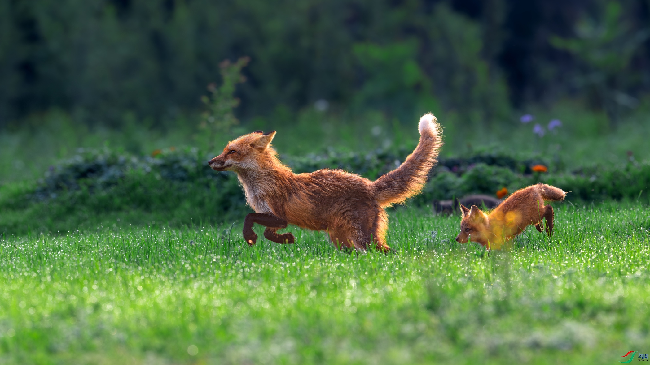 DSC_6907-1.jpg