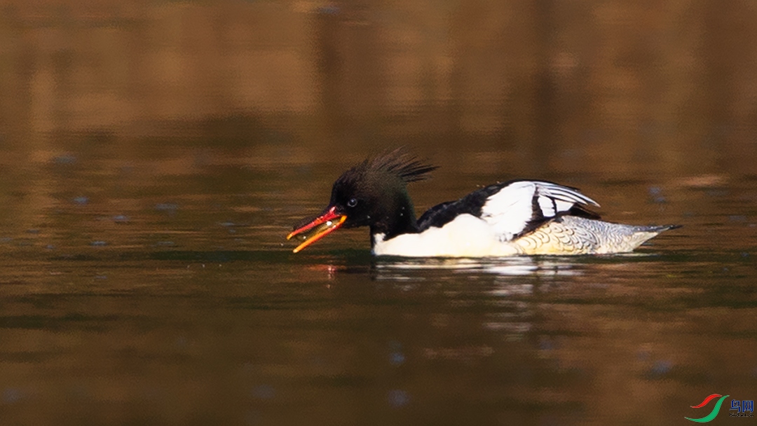 _FQ_9703-01.jpg