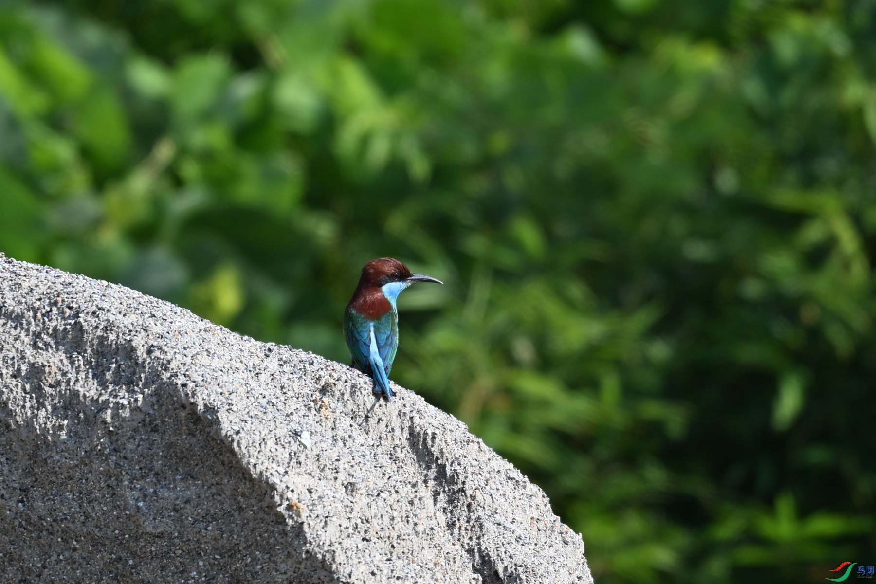 DSC_2500.JPG