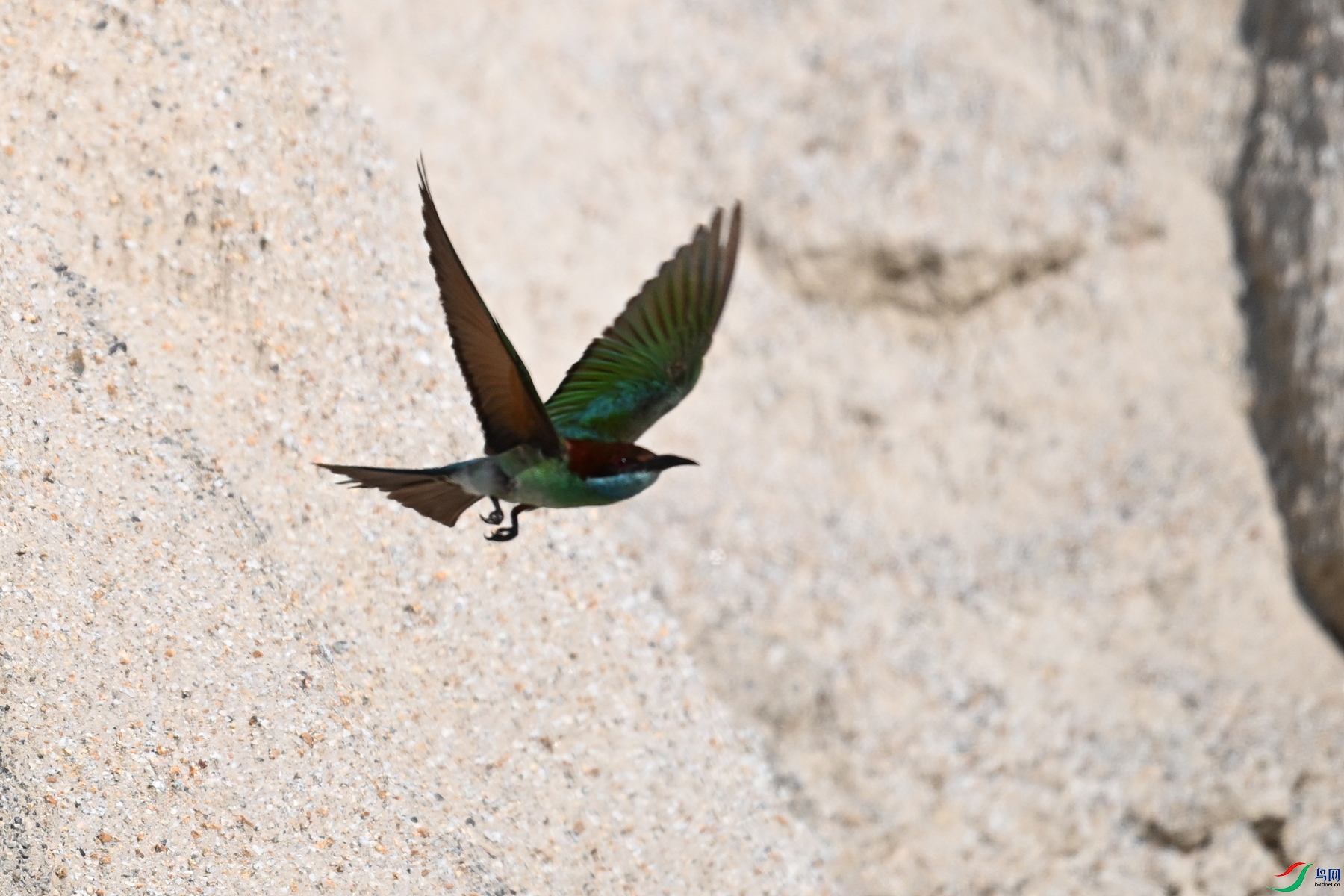DSC_2514.JPG