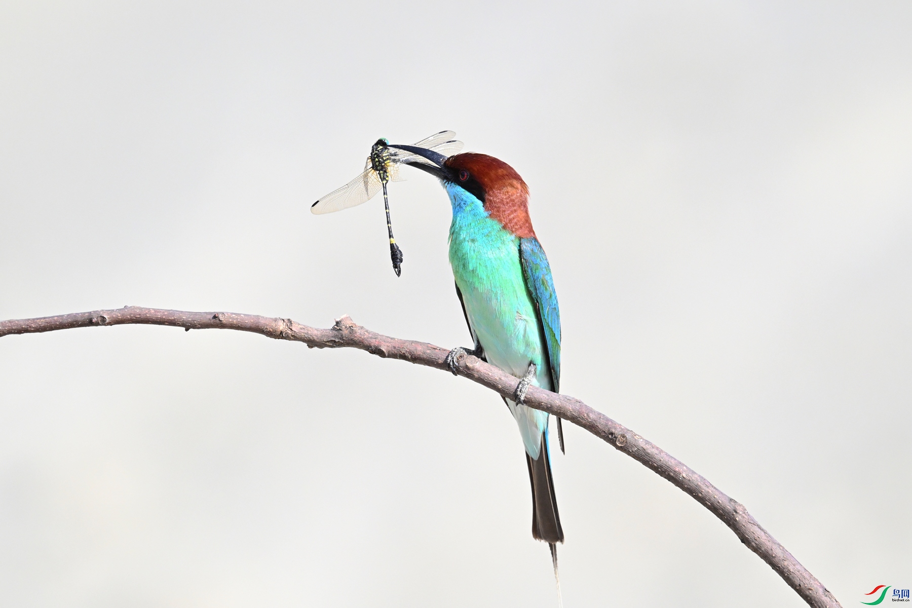 DSC_2503.JPG