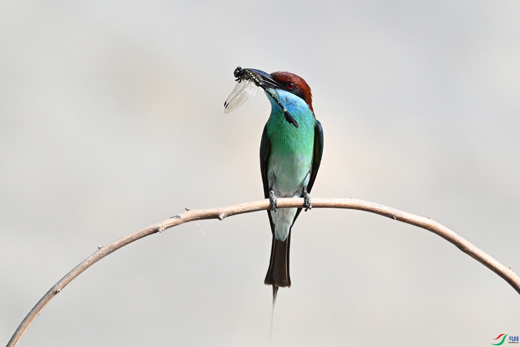DSC_2505.JPG
