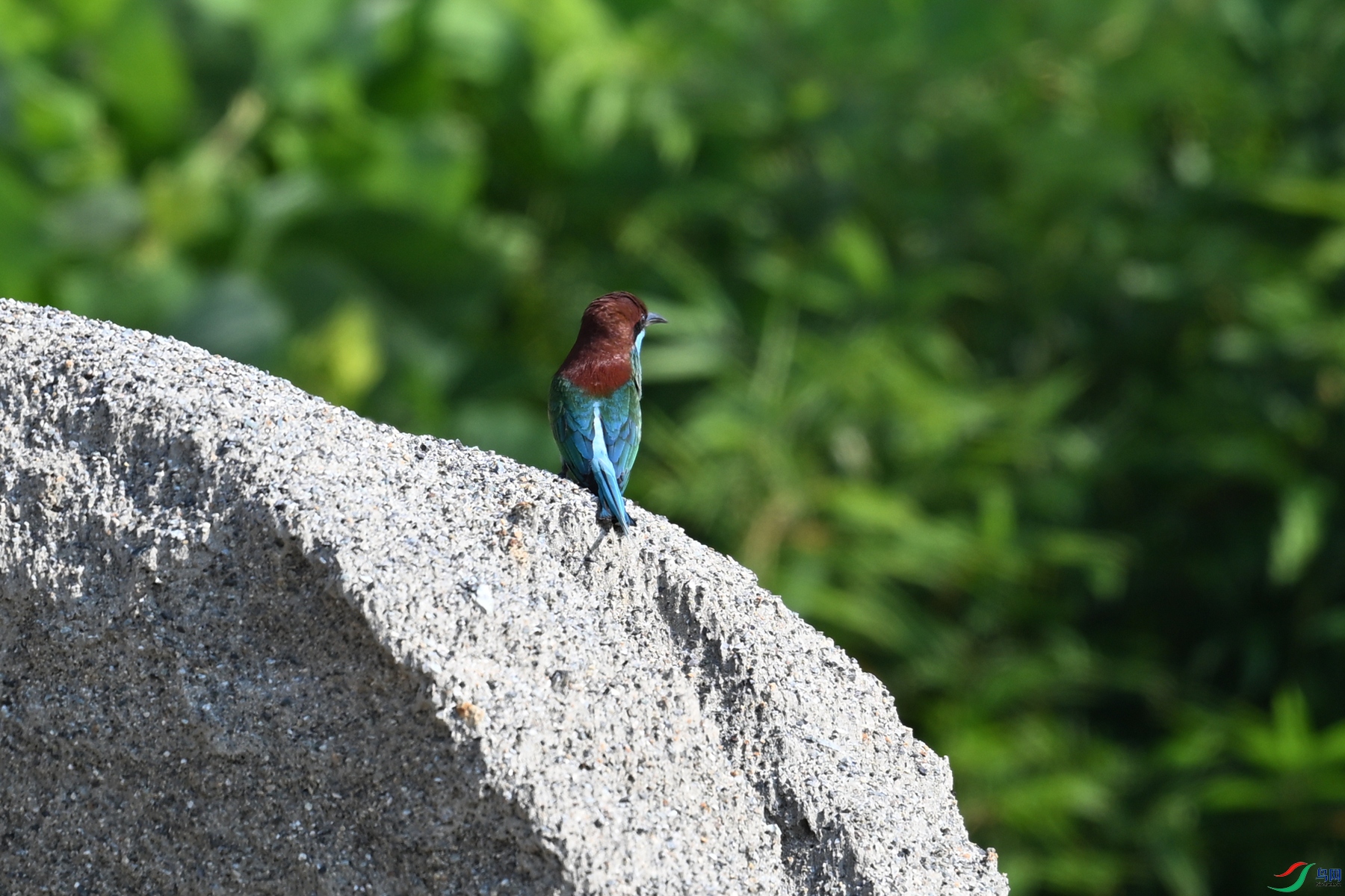 DSC_2501.JPG