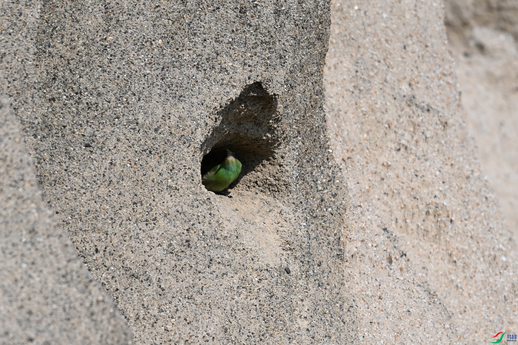 DSC_2531.JPG