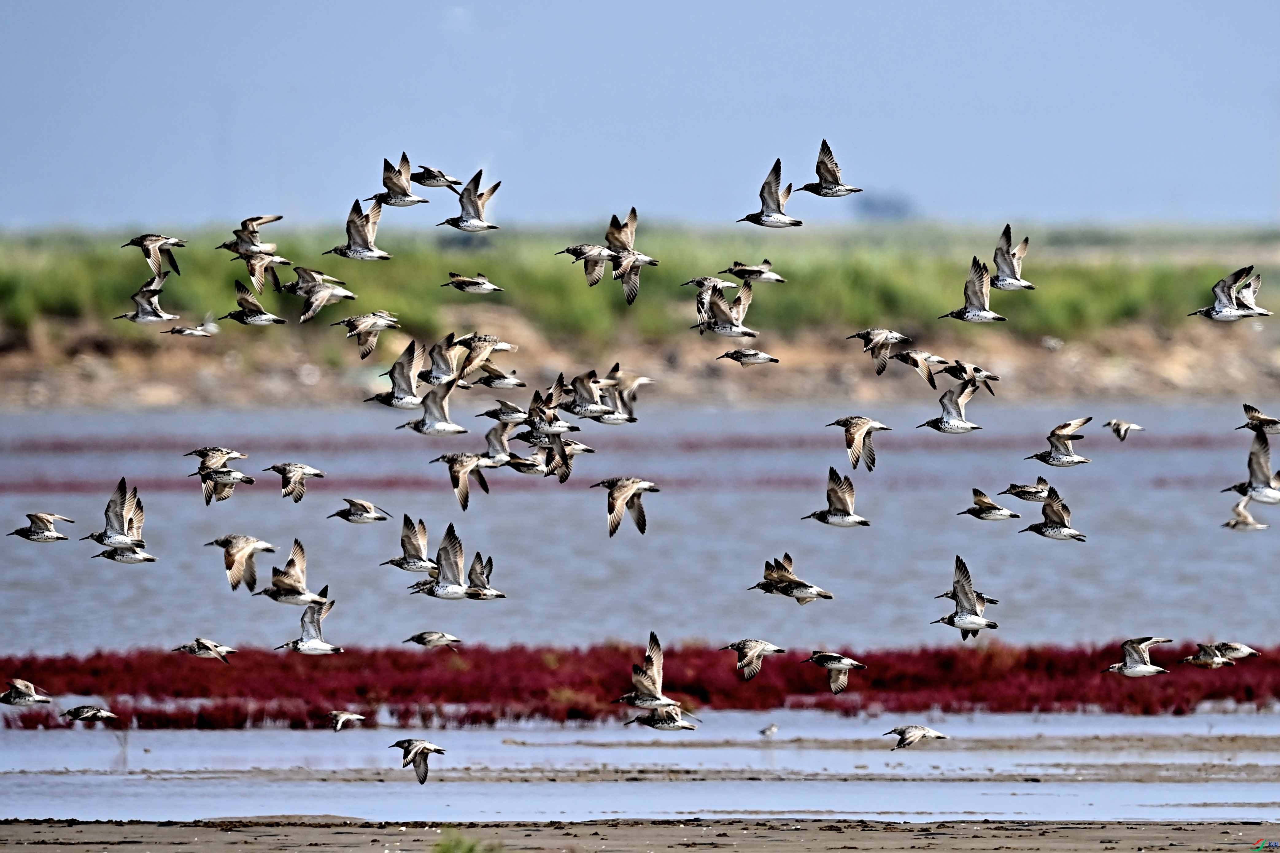_LYF2489 ����.jpg