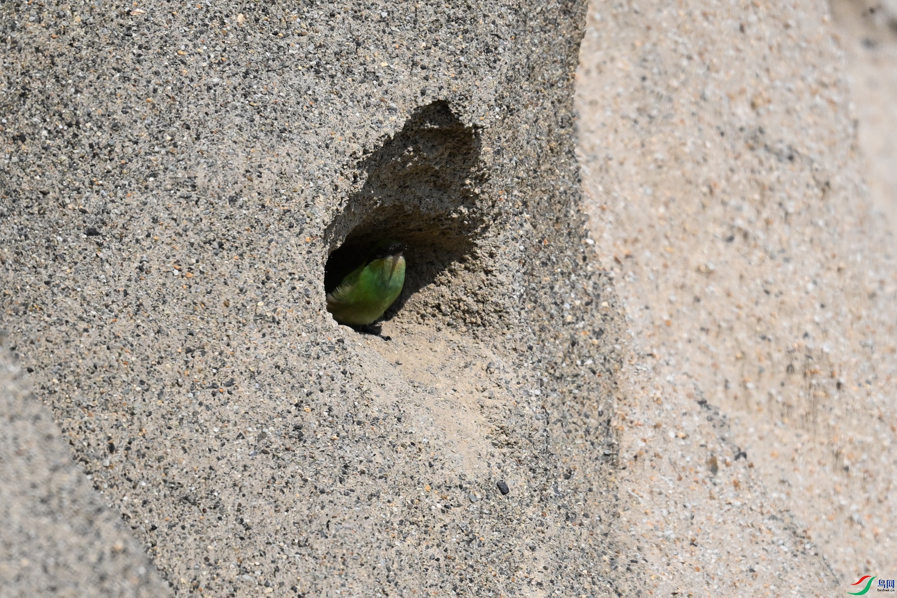 DSC_2541.JPG