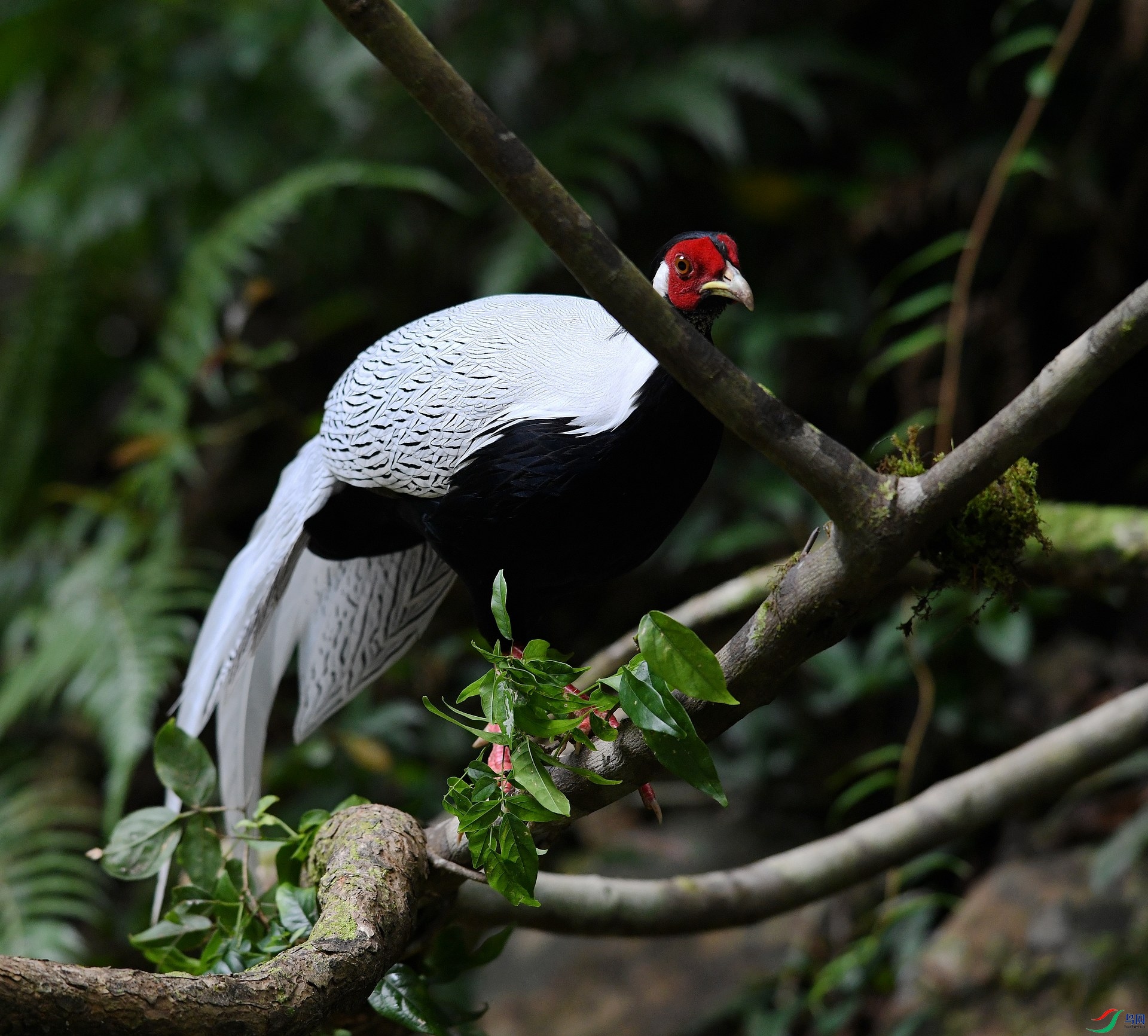 DSC_3555.jpg