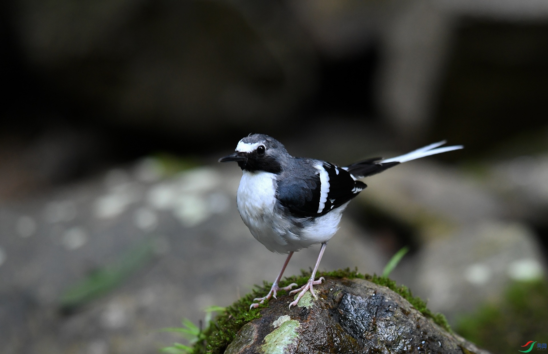 DSC_4165.jpg