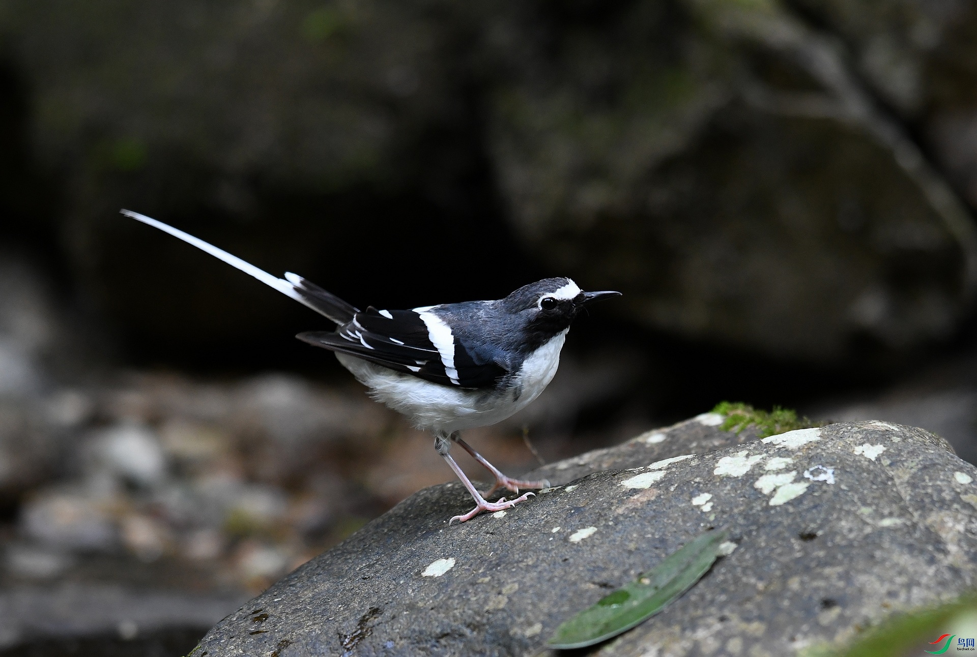 DSC_4166.jpg