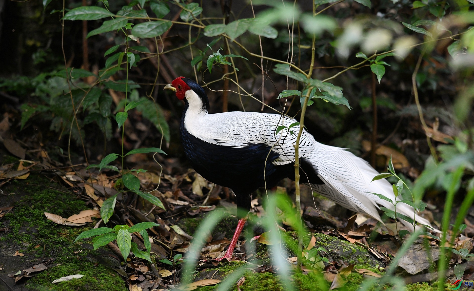 DSC_4159.jpg