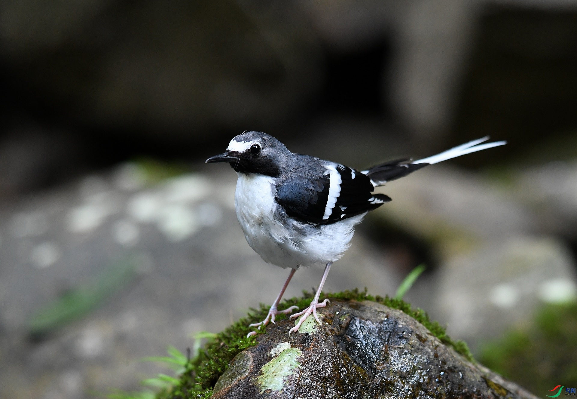 DSC_4164.jpg