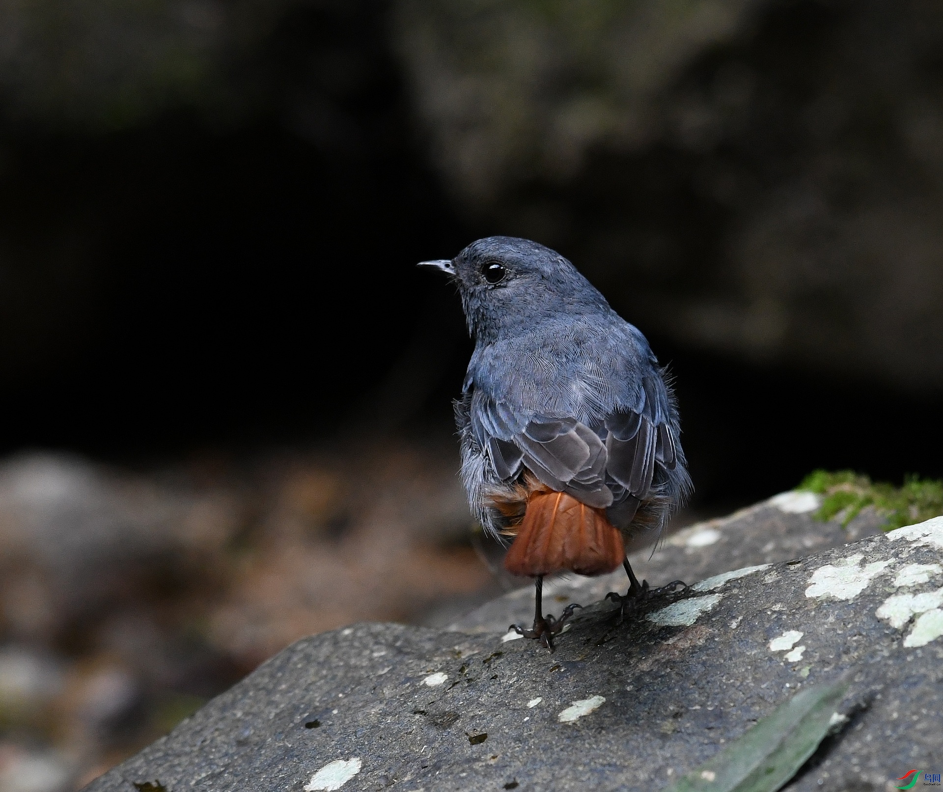 DSC_3771.jpg