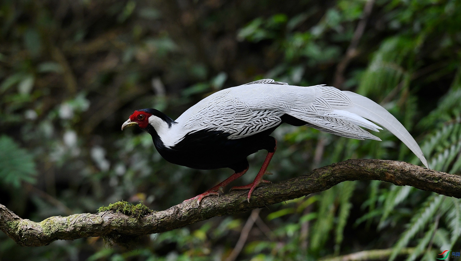 DSC_3570.jpg