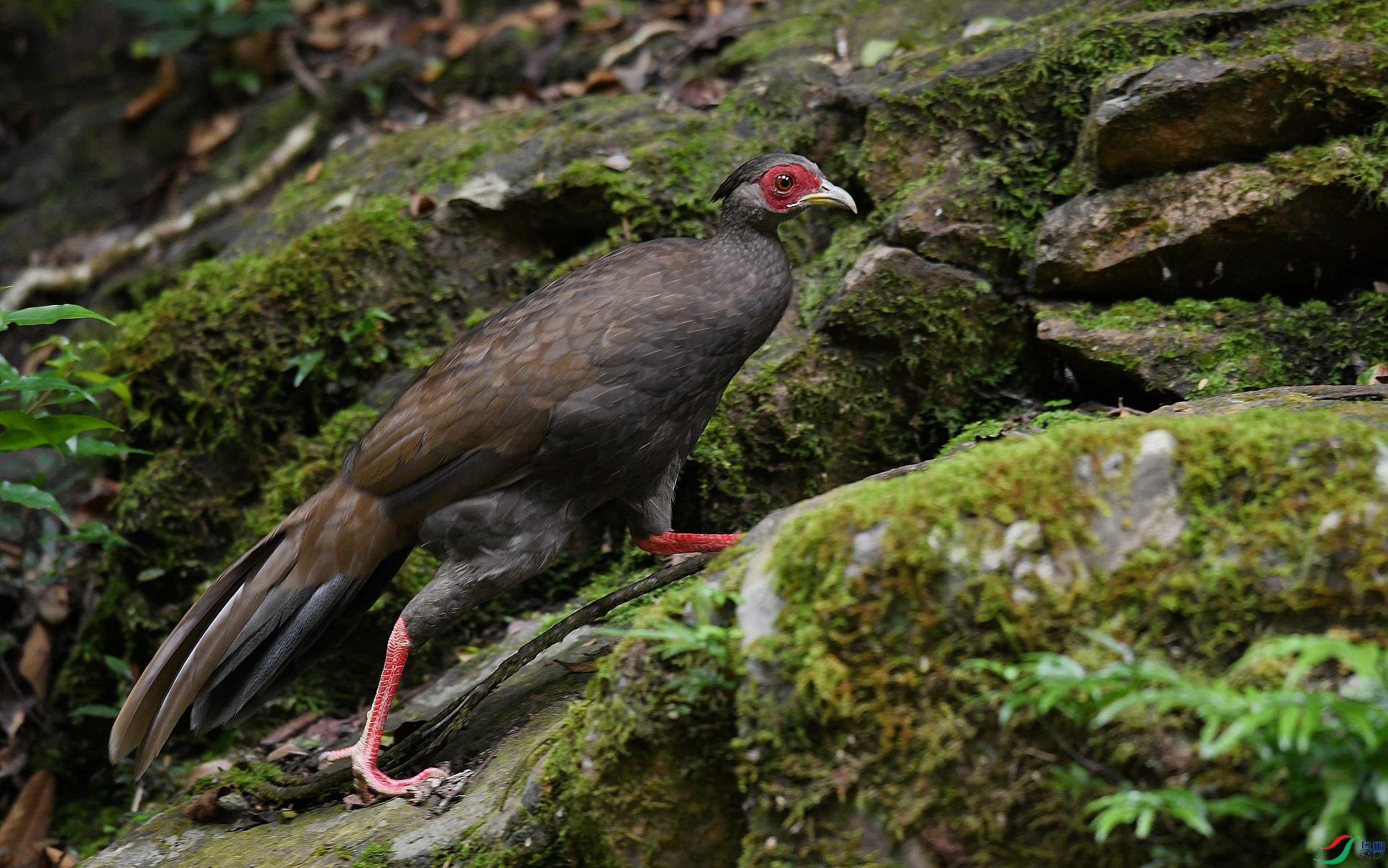 DSC_6451.jpg