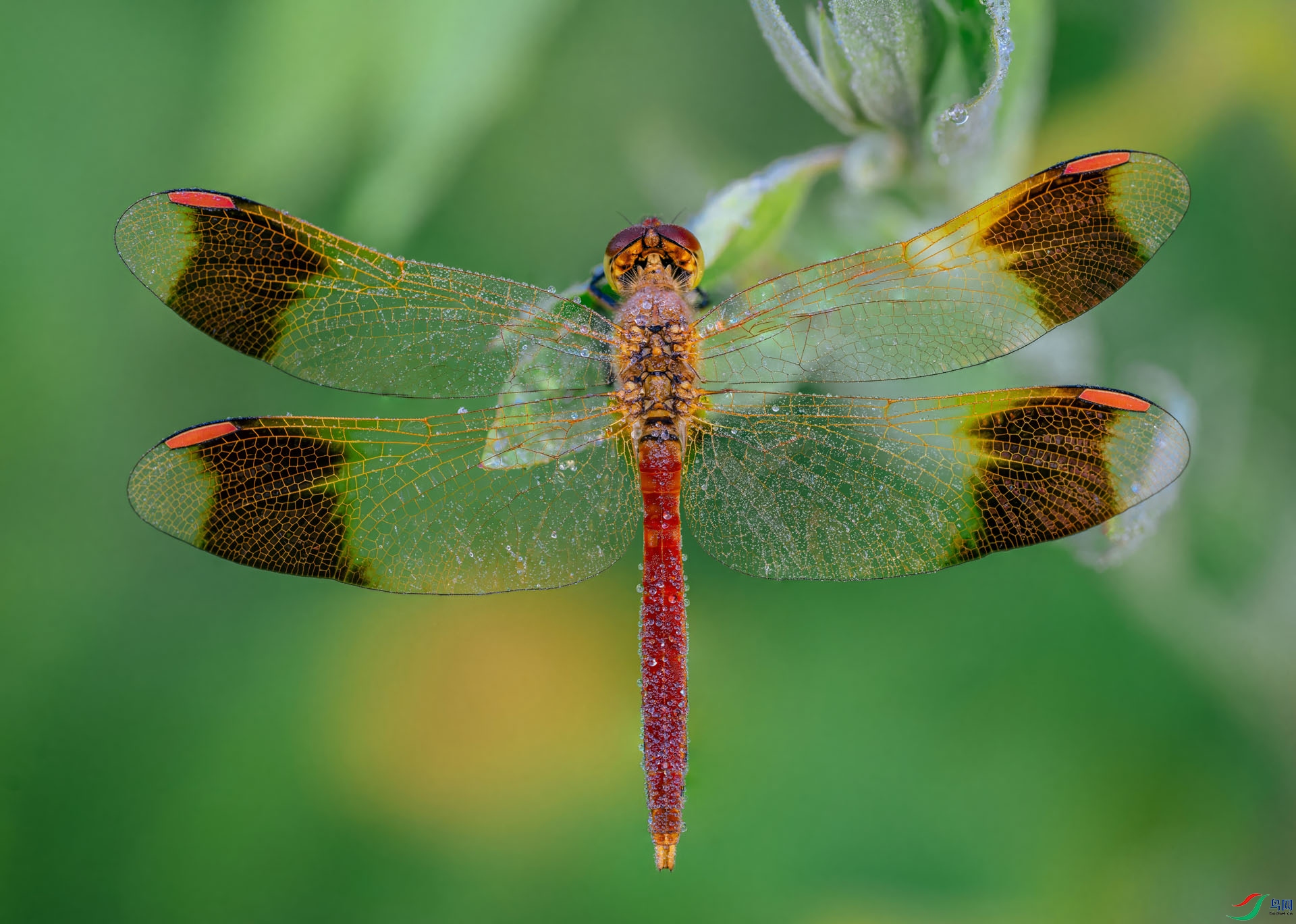 δ����-6739-6745-topaz-denoise-topaz-denoise.jpg