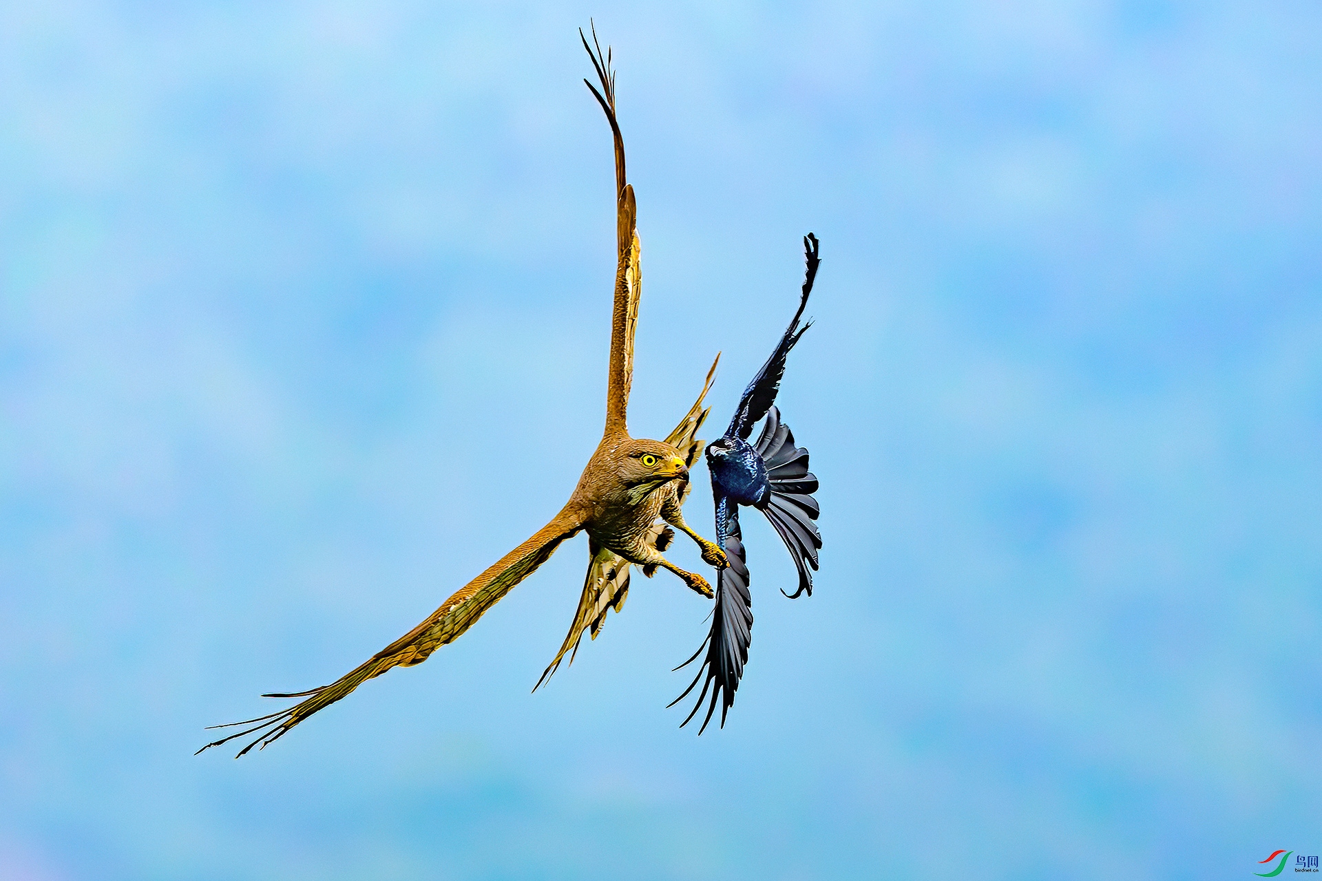 0D1A6659-8.jpg