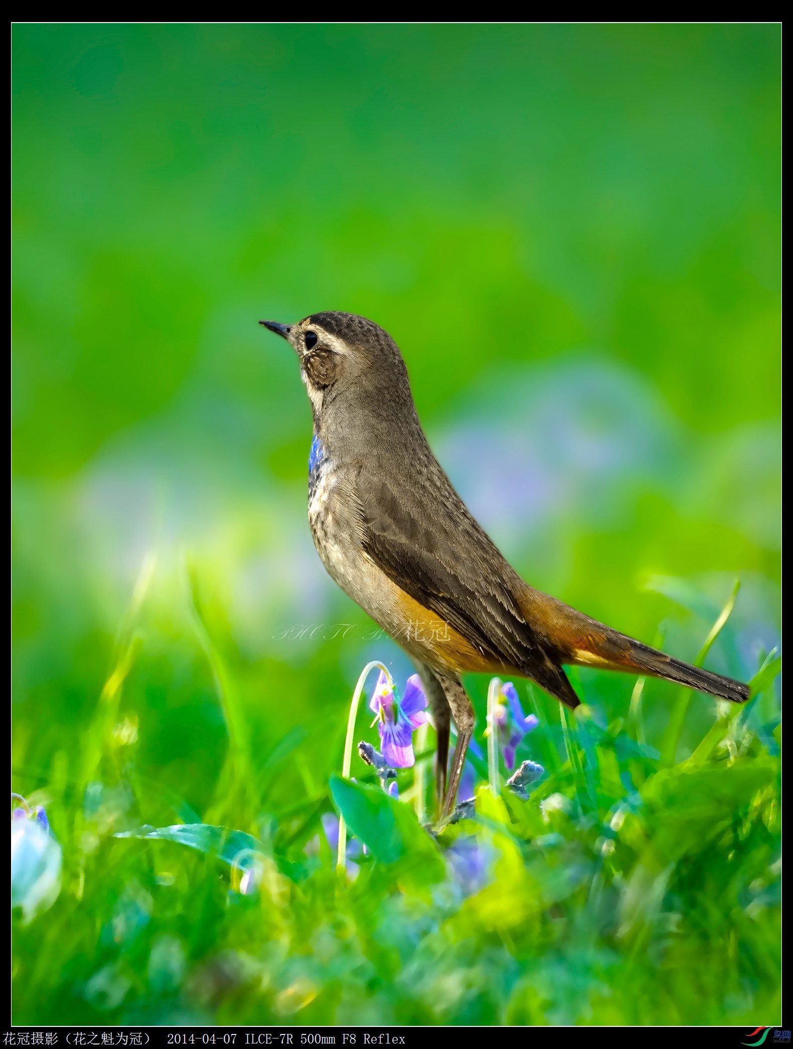 DSC00785B-2_����_����_����.jpg