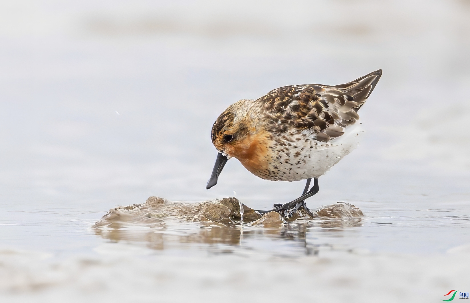 0L0A3904-topaz-denoise.jpeg