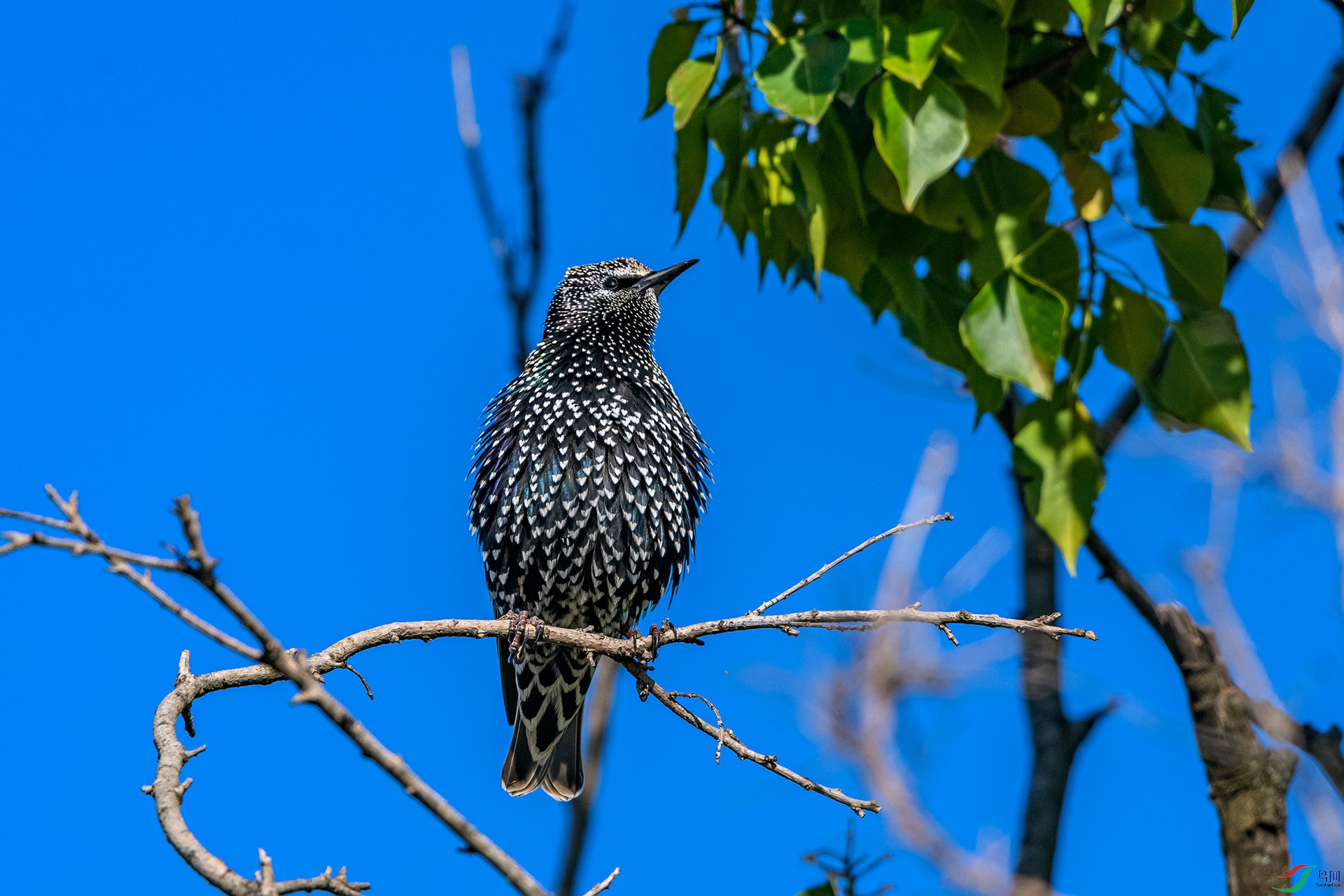 _AUU0978 �ϳ����(25.11.25).jpg