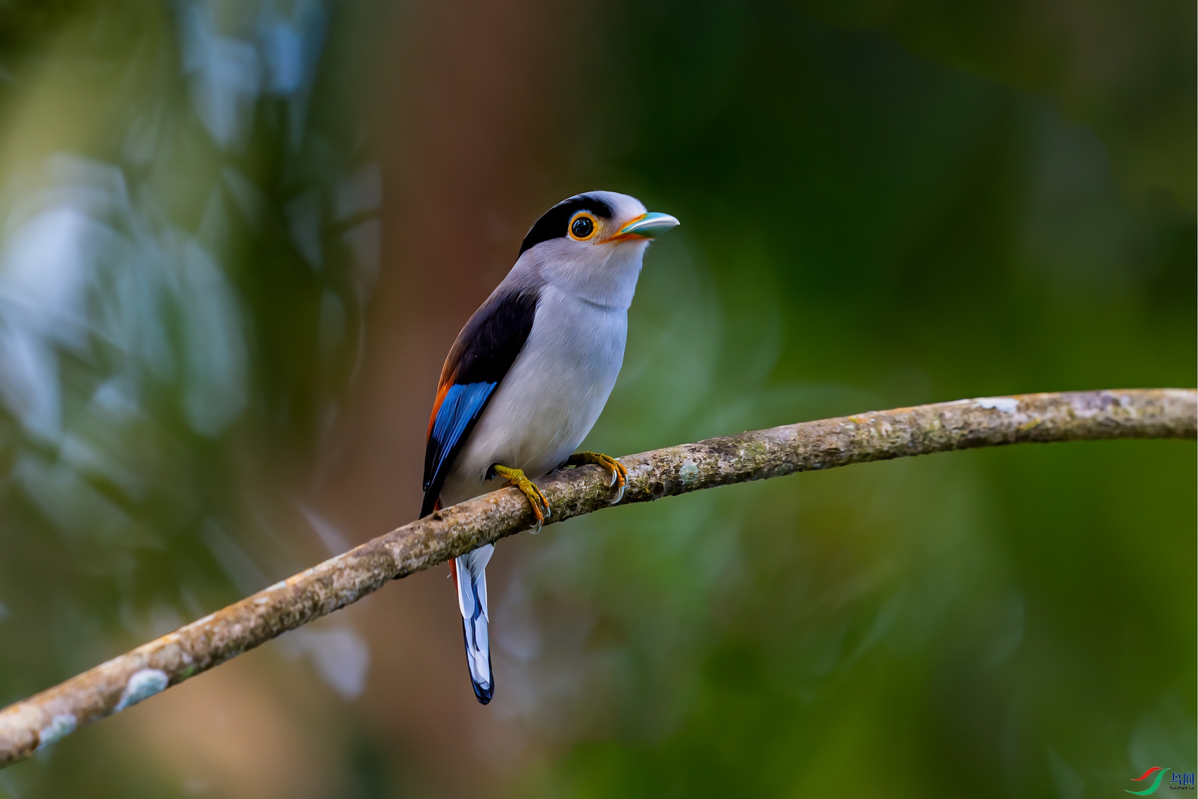 _DSC3000-1.jpg
