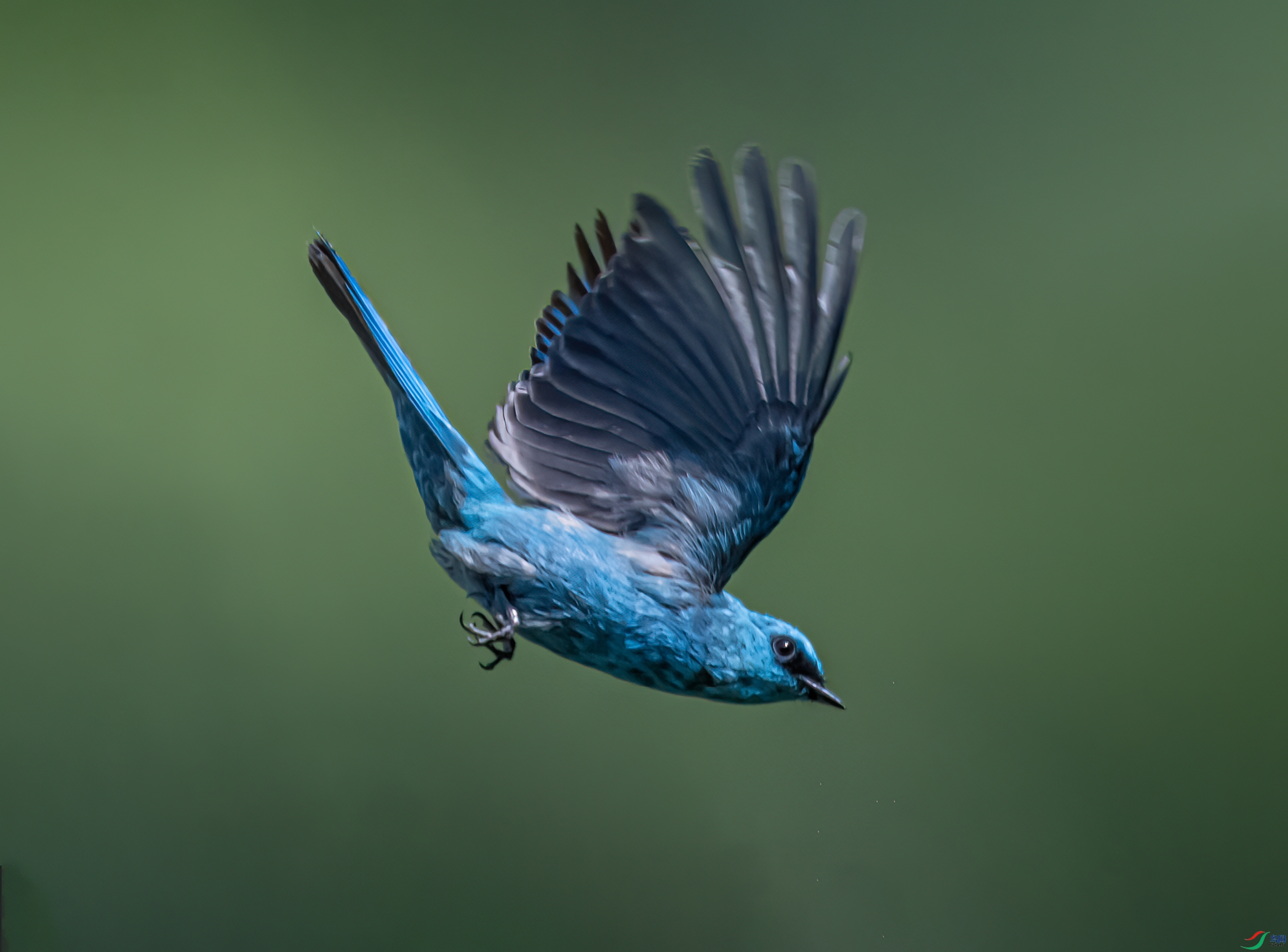 DSC_5481-11.jpg