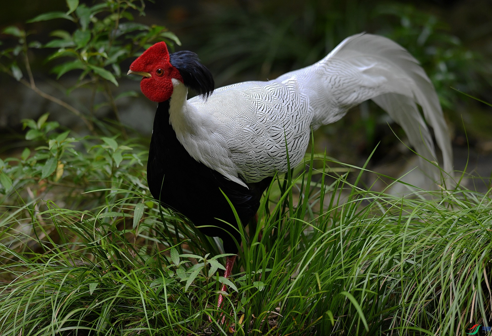 DSC_6471.jpg