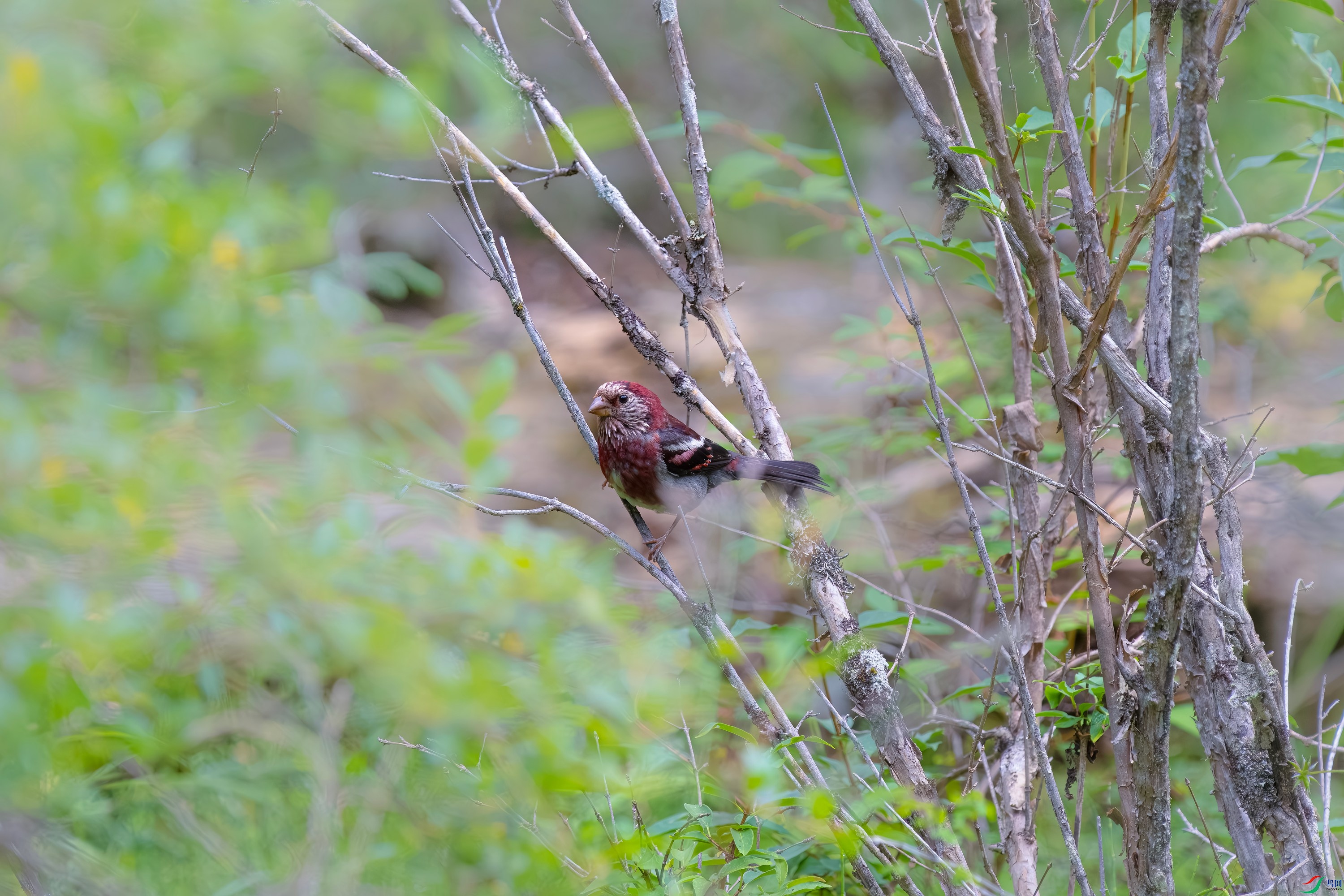 DSCF0639.jpg