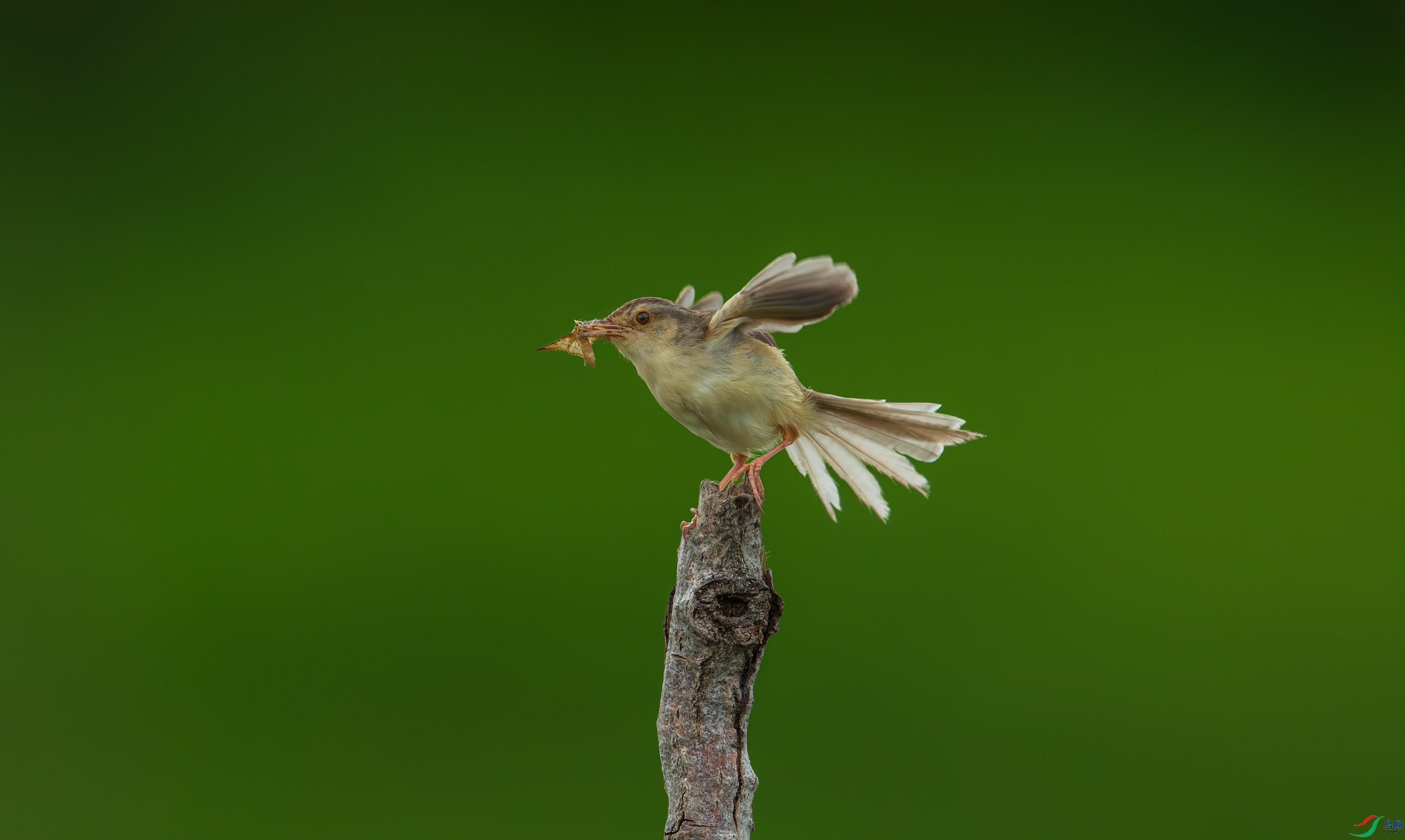DSC_6246.jpg